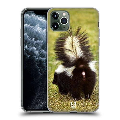 Striped Skunk