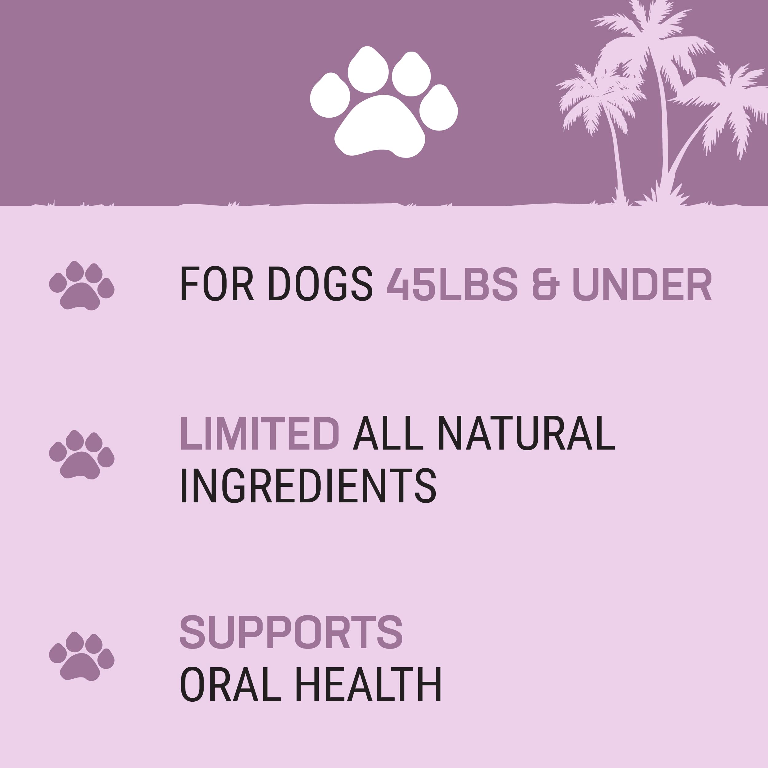 Natural Coconut & Himalayan Cheese Dog Chew - Long-Lasting, Protein-Rich, Stain-Free Dental Treat for Small Dogs Under 45 Lbs | 100% Grain-Free, Lactose-Free & Gluten-Free | Perfect for Teething, Training & Indoor Use Without Strong Odor