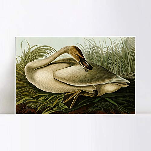 White Slim Frame