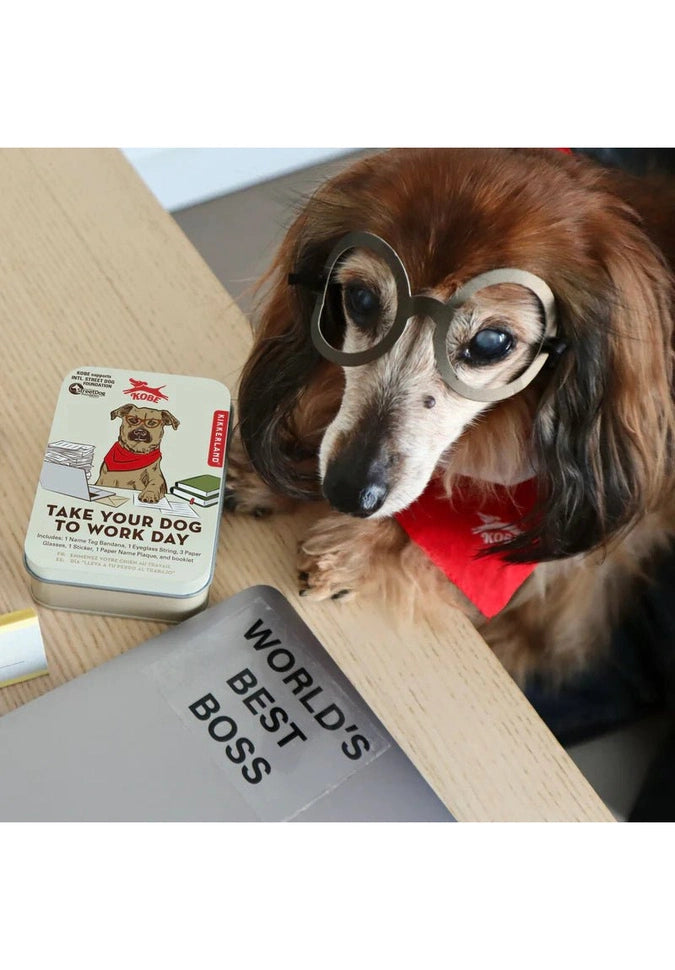 Kikkerland Take Your Dog to Work Day Kit - Fun Office Pet Accessories for Dog Lovers | Perfect for Workplace Celebrations & Pet-Friendly Offices