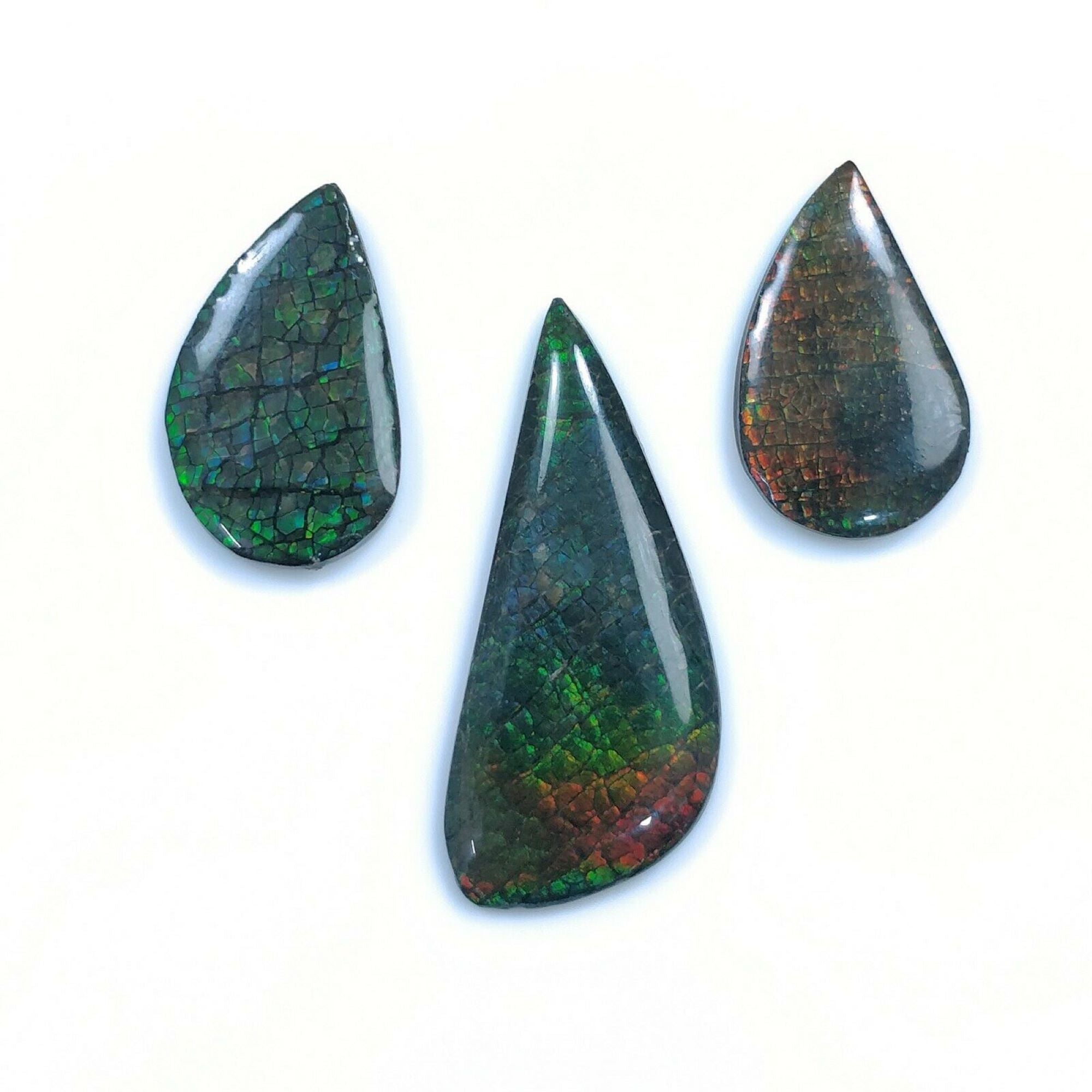 Natural AMMOLITE Gemstone Cabochon - Bi-Color Fossilized Shell Jewelry Making Stone (23x14mm or 36x16mm) for Pendants, Rings & Unique Handmade Jewelry Designs