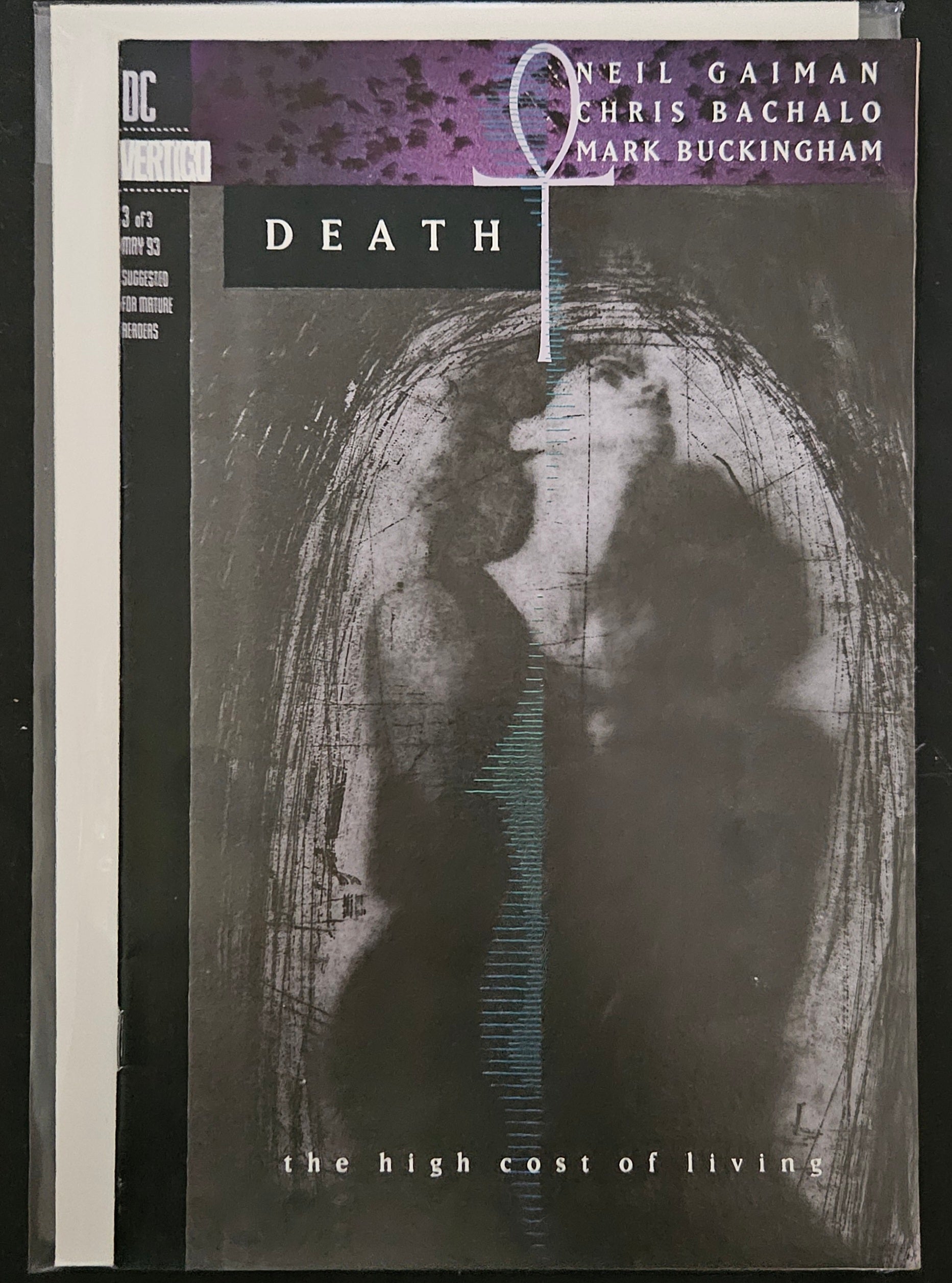 Death: The High Cost of Living #3 of 3 | DC Vertigo Graphic Novel | 1993 Edition | Perfect for Comic Collectors & DC Fans