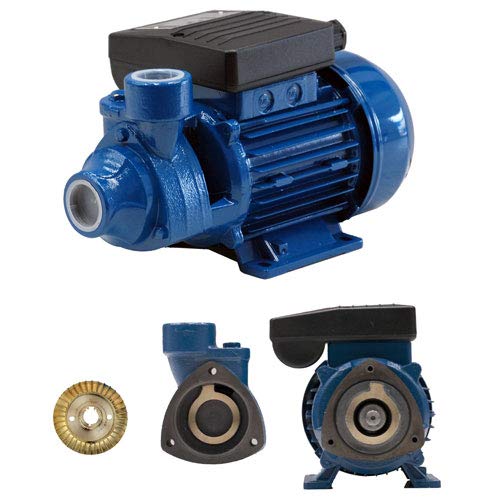 BCN Water Pump - PE-50M Peripheral Pump, Cast Iron & Steel Construction, Monophasic - Ideal for Irrigation, Drainage, and Water Transfer in Homes & Farms