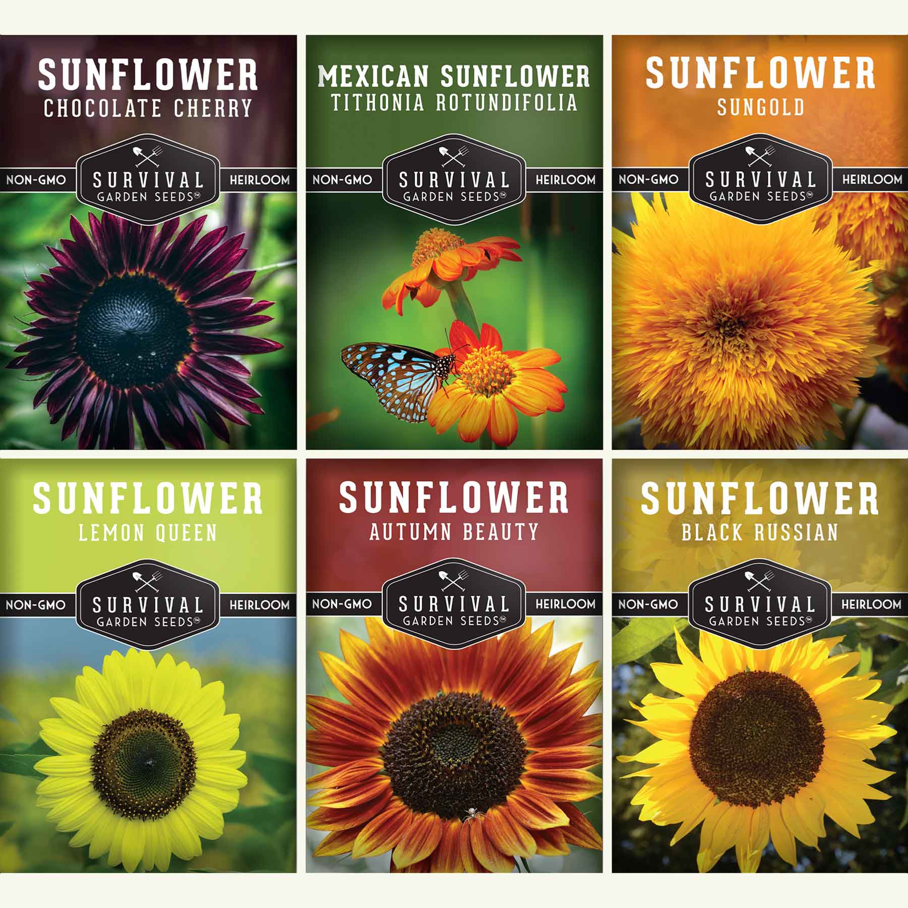 6 Sunflower Collection - Vibrant Rainbow Colored Sunflowers for Home Decor, Wedding Bouquets & Garden Planting | Perfect for DIY Crafts, Floral Arrangements & Gift Giving