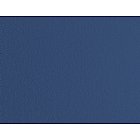 Stardream Metallics Sapphire 81# Text A9 Envelopes - Premium 100-Pack for Wedding Invitations, Greeting Cards & Business Correspondence | Limited PapersTM Brand