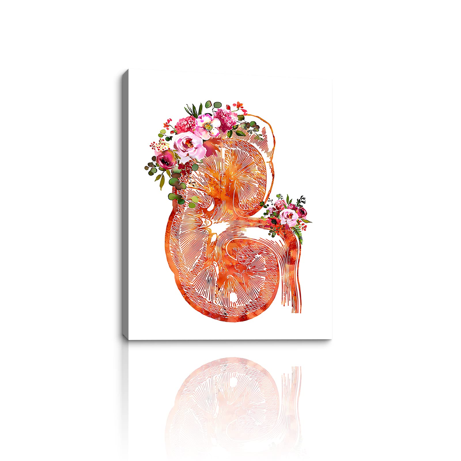 Kidney Anatomy Nurse Canvas Wall Art - Framed Medical Wall Decor for Office, Bedroom & Bathroom - Modern Ready-to-Hang Painting for Medical Students & Healthcare Professionals - Perfect Gift for Doctors, Nurses & Anatomy Enthusiasts