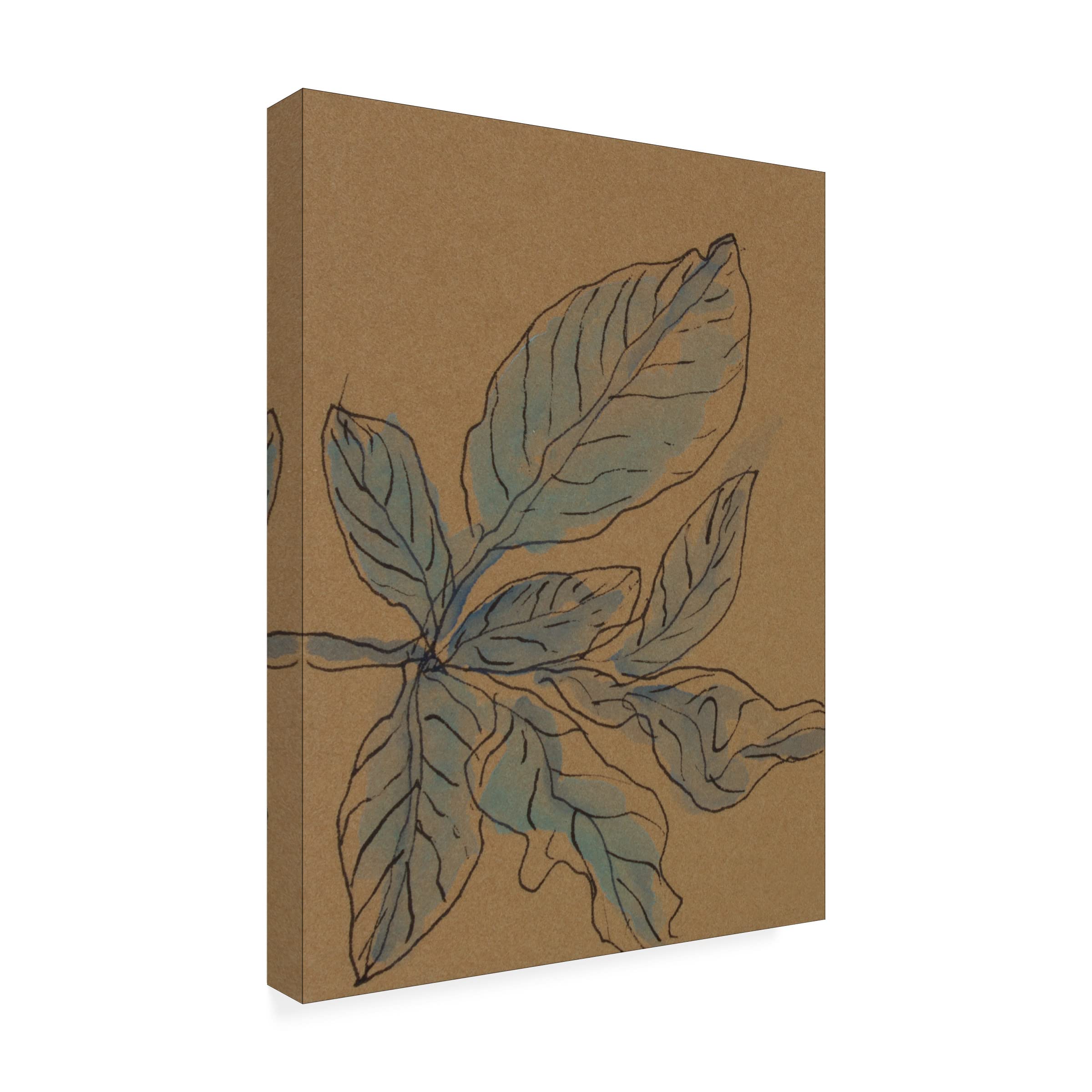 Trademark Fine Art 'Little Plants of Big Sur XIII' Canvas Wall Art Print by Rob Delamater - Nature Inspired Botanical Decor for Living Room, Bedroom & Office