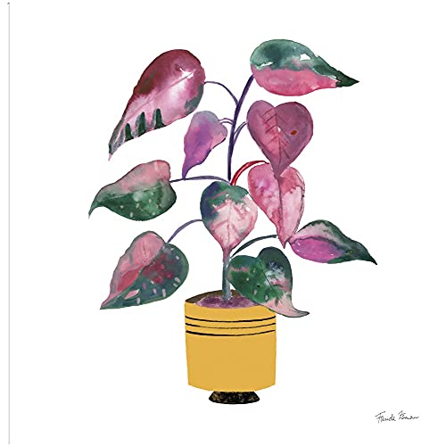 Potted Jewels II