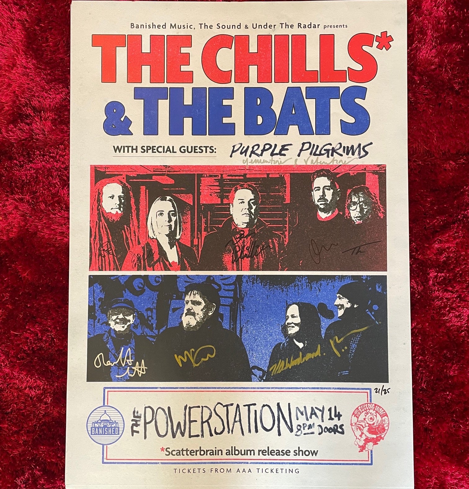 Chills, The Bats, Purple Pilgrims Signed Collectible Music Poster - Perfect for Bedroom Decor, Music Studio Wall Art & Fan Gift