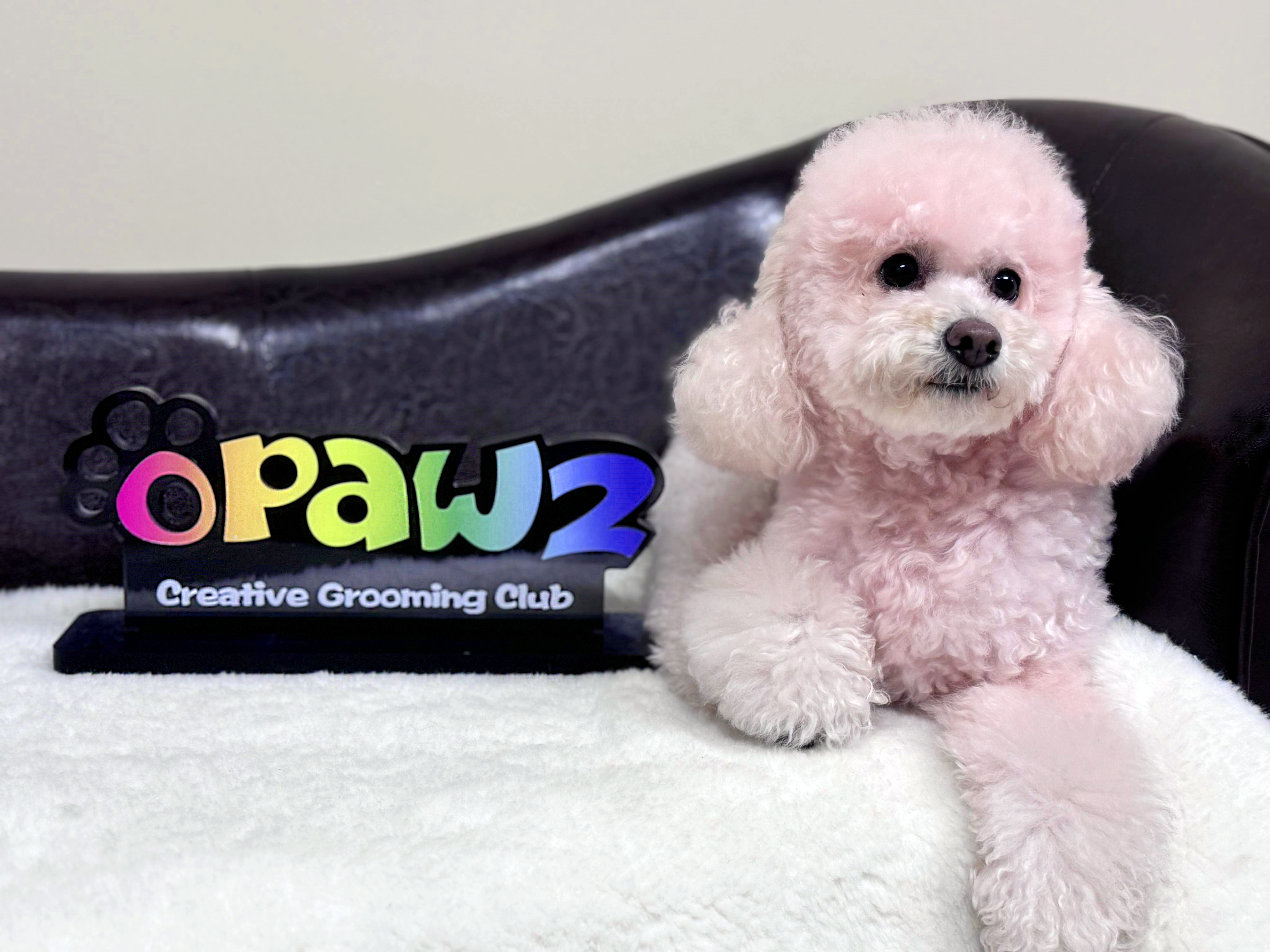 OPAWZ Creative Grooming Club Acrylic Sign - Custom Pet Salon Decor for Dog & Cat Grooming Businesses - Perfect for Shop Walls, Reception Areas & Professional Pet Styling Studios