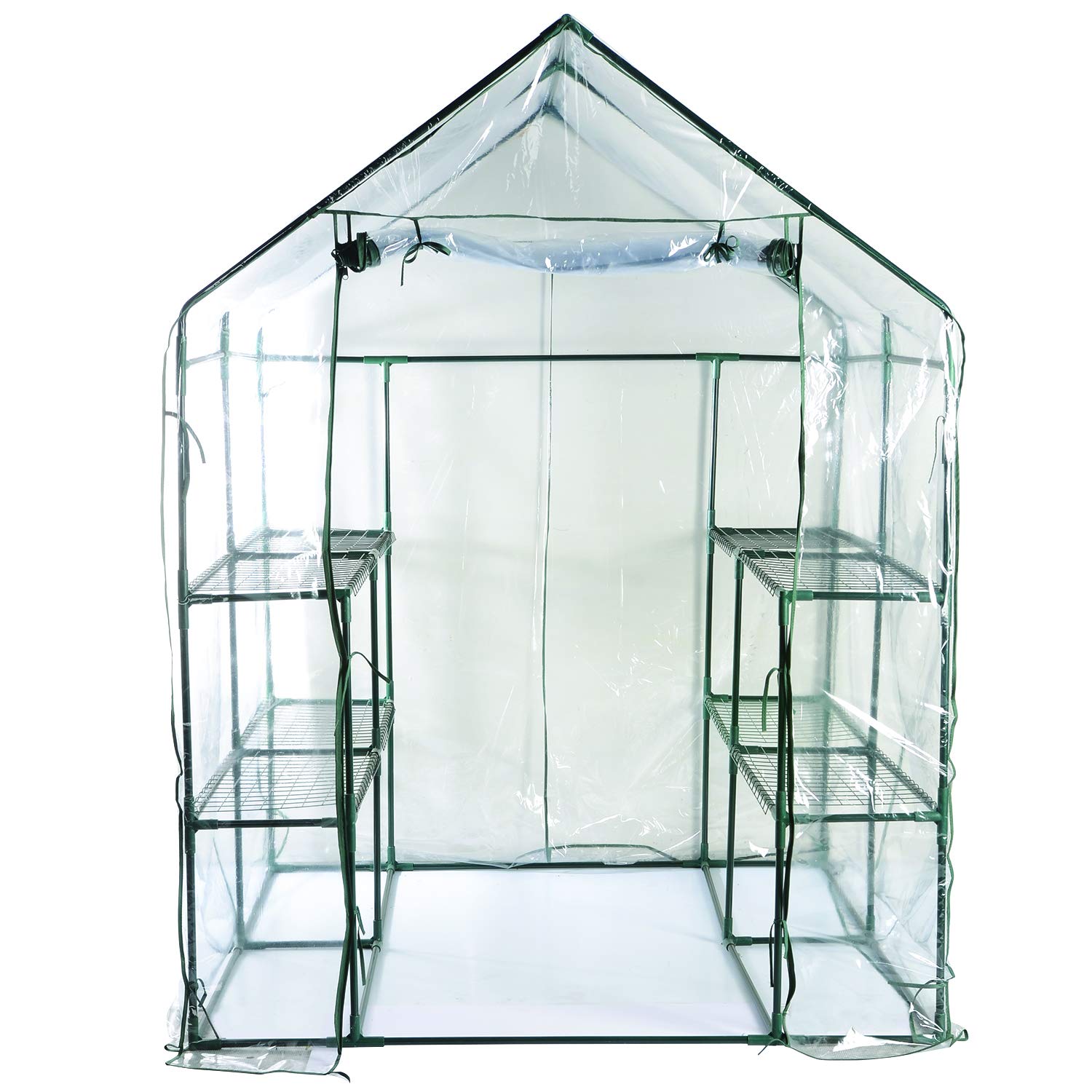 Bloom 63537 Large Walk-in Greenhouse - 6.5' x 6.5' x 6.7' Outdoor Plant Protection Tent with Durable PE Cover & Steel Frame - Perfect for Gardening, Seed Starting, Plant Growing in Backyard, Patio or Balcony