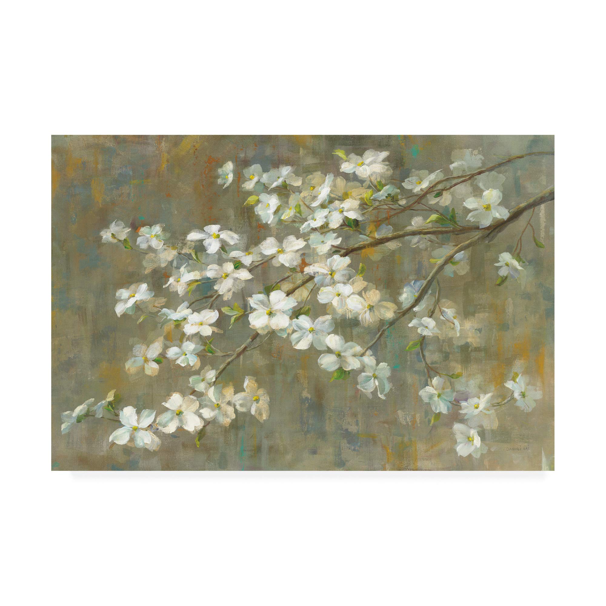 Danhui NAI Dogwood in Spring Fine Art Print - 30x47 Floral Wall Decor for Living Room, Bedroom & Office | Trademark Fine Art Collection