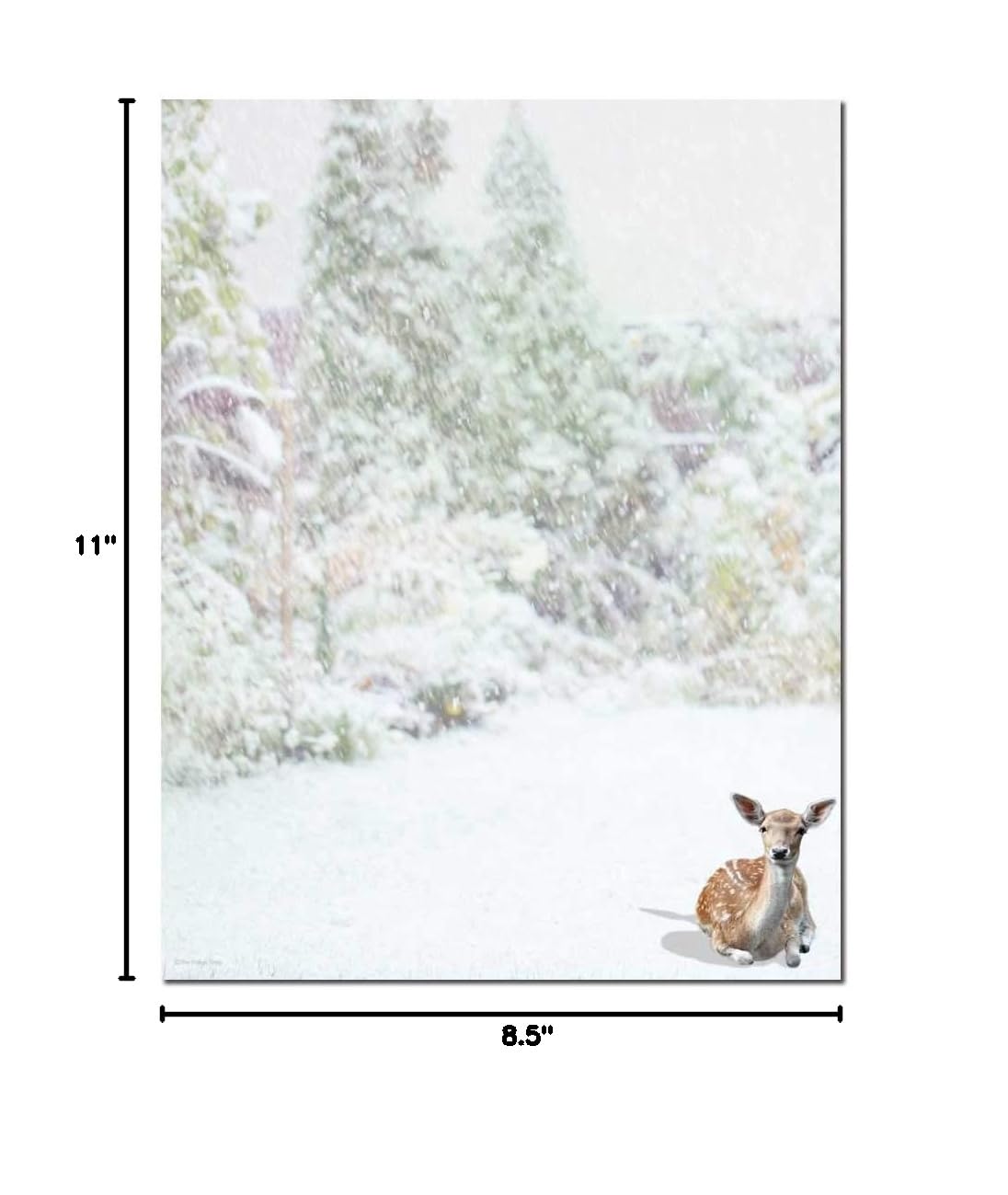 Premium Winter Doe Letterhead Laser & Inkjet Printer Paper - 25 Sheets for Holiday Cards, Business Stationery & Home Office Use