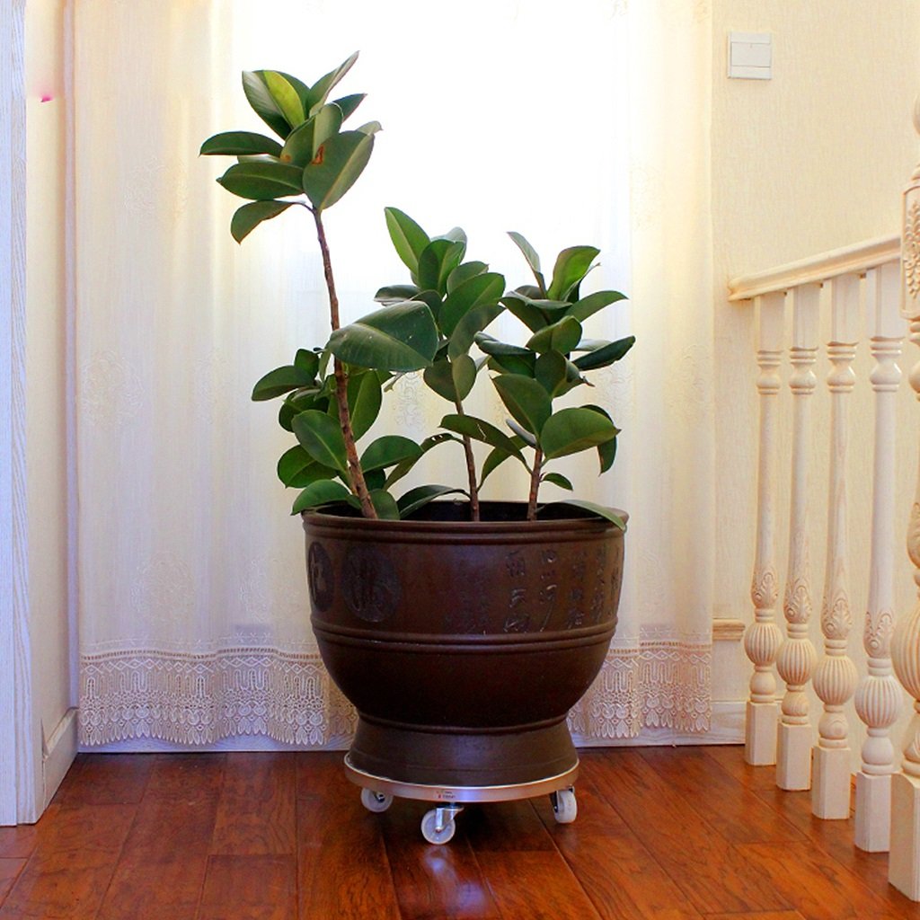 Heavy Duty FRP Plant Caddy - 20 Inch Round Plant Stand Dolly with 6 Industrial Caster Wheels & Aluminum Edge - Mobile Potted Plant Mover for Indoor/Outdoor Use - Perfect for Garden, Nursery, Home Decor (White)
