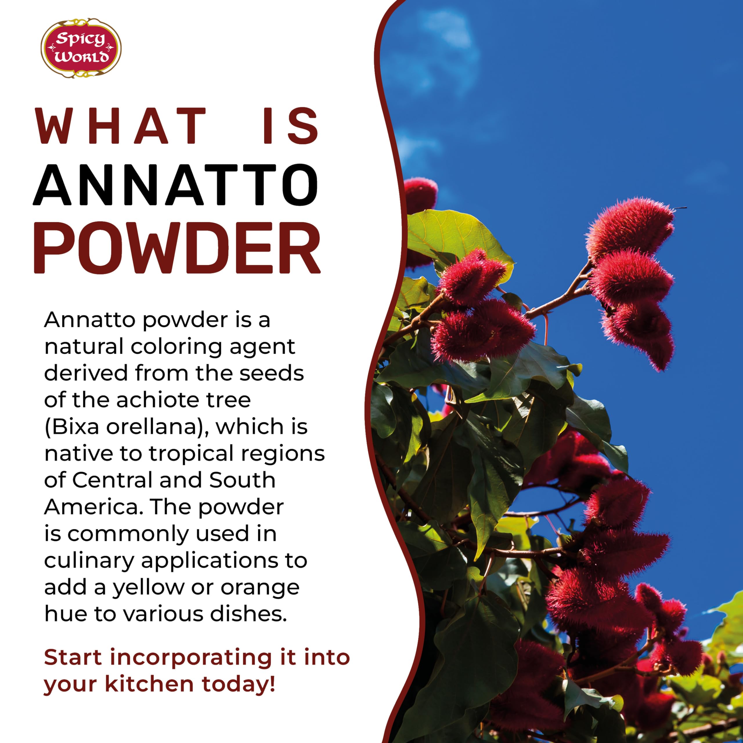 Premium Annatto Powder 4oz (113g) - Natural Achiote Seed Spice for Latin American Cooking - Perfect for Rice, Stews & Marinades - Vibrant Color & Flavor Enhancer