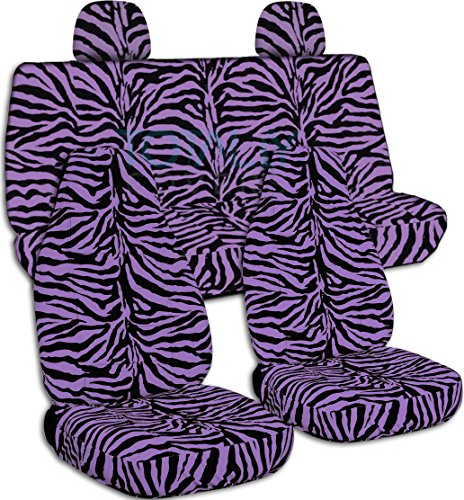 Purple Zebra