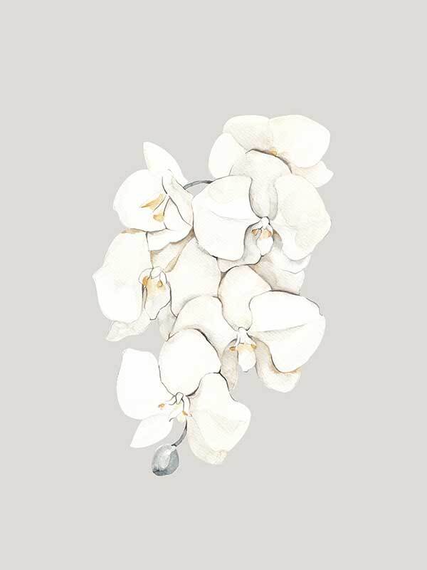 Beige Lilies Unframed Art Print - Elegant Floral Wall Decor for Living Room, Bedroom & Office - Perfect for Home & Office Aesthetics