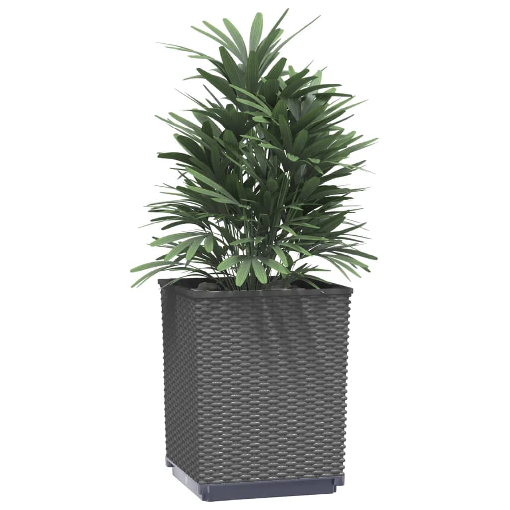 2-Pack vidaXL Rattan-Look Flower Planters - Outdoor Garden Boxes for Patio, Balcony, Porch & Backyard - Black (Perfect for Herbs, Flowers & Small Plants)