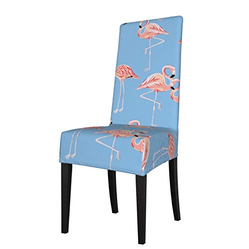 Tropical Pink Flamingo Birds (2)