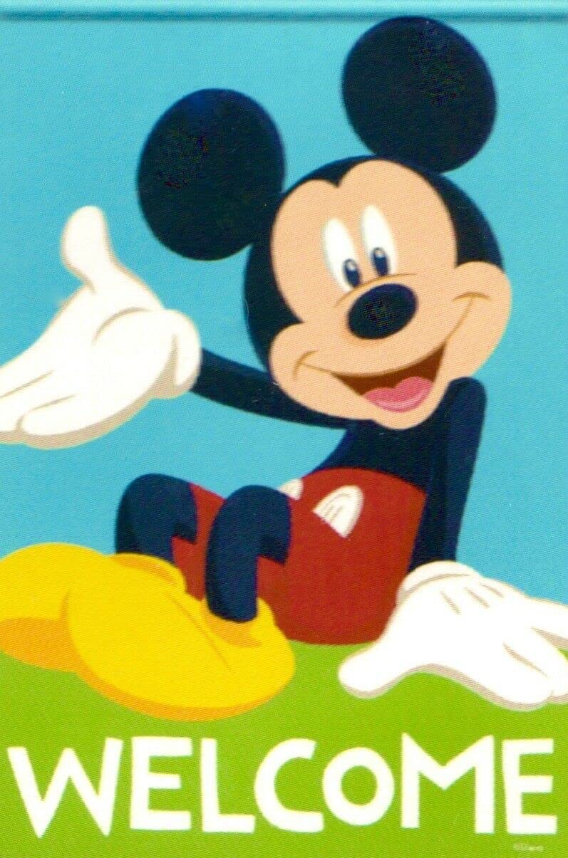 Disney Mickey Mouse Welcome Garden Flag - 12.5