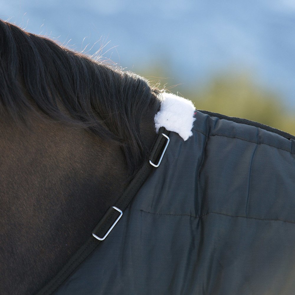 HORZE Nevada Lightweight 100g Stable Blanket for Horses - Perfect for Cool Weather Riding and Stable Use