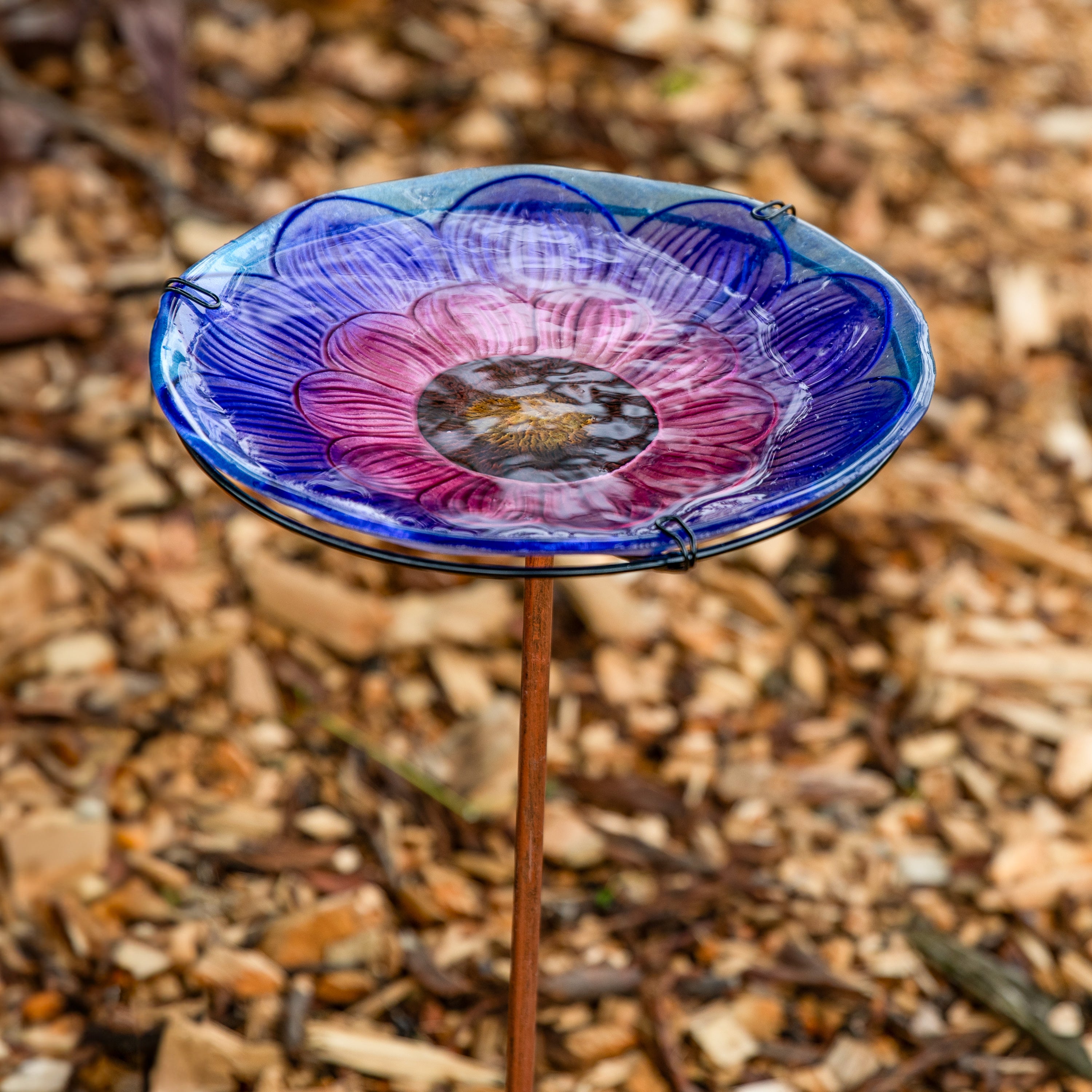 Sunnydaze Glass Bird Bath for Outdoors - Deck Mounted or Staked Garden Decoration - Attracts Birds to Your Backyard, Patio, or Garden
