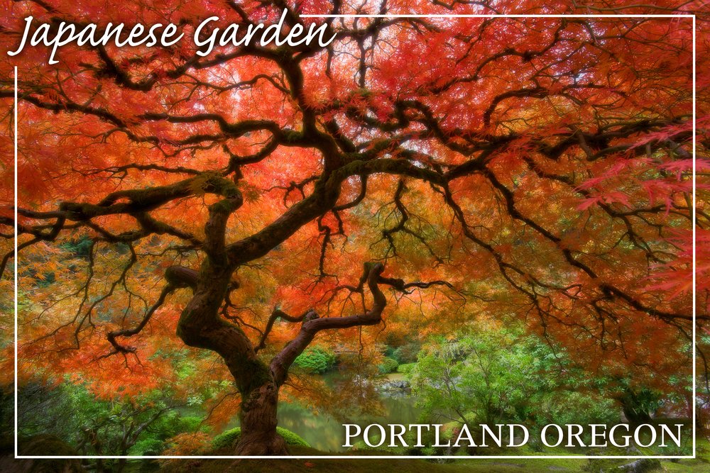 Lantern Press Japanese Garden Wall Art Poster - 12x18 Inches, Portland Oregon Landscape Print - Home & Office Decor for Living Room, Bedroom, or Gift