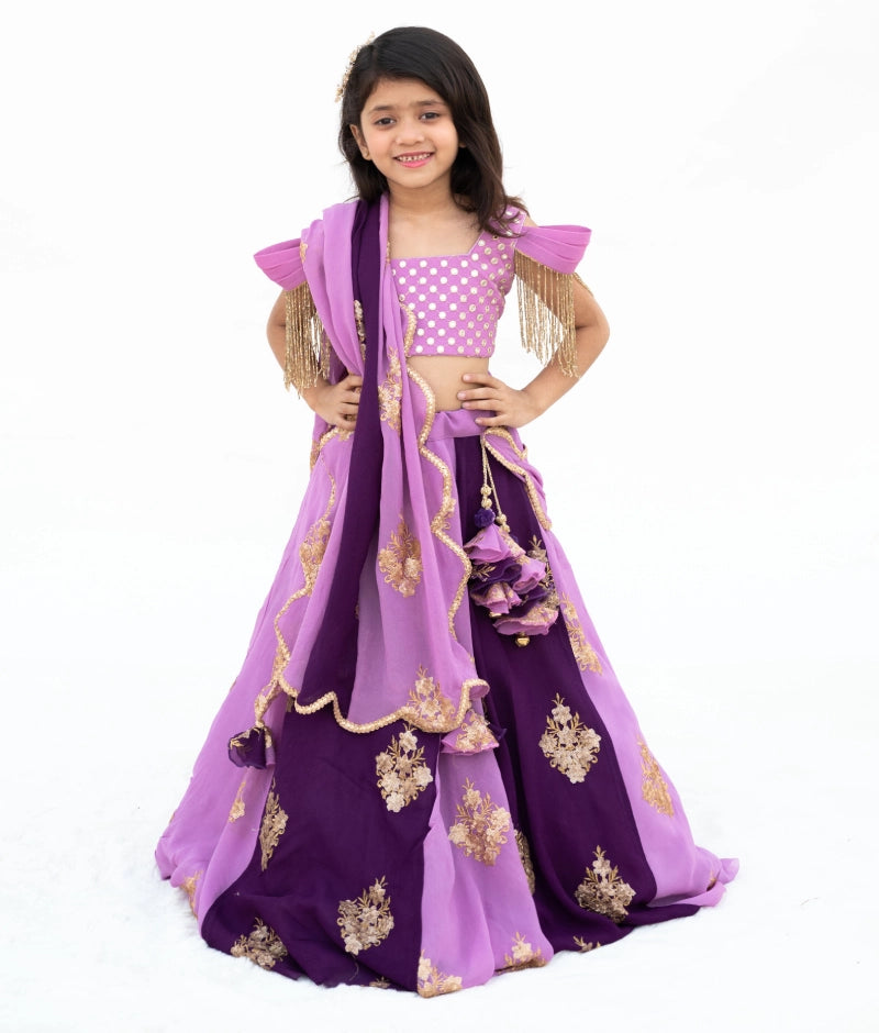 Pre Order: Lilac & Purple Embroidered Lehenga Set for Women - Indian Bridal Wear, Wedding Guest Outfit, Festive Party Dress, Diwali & Holi Celebration Costume