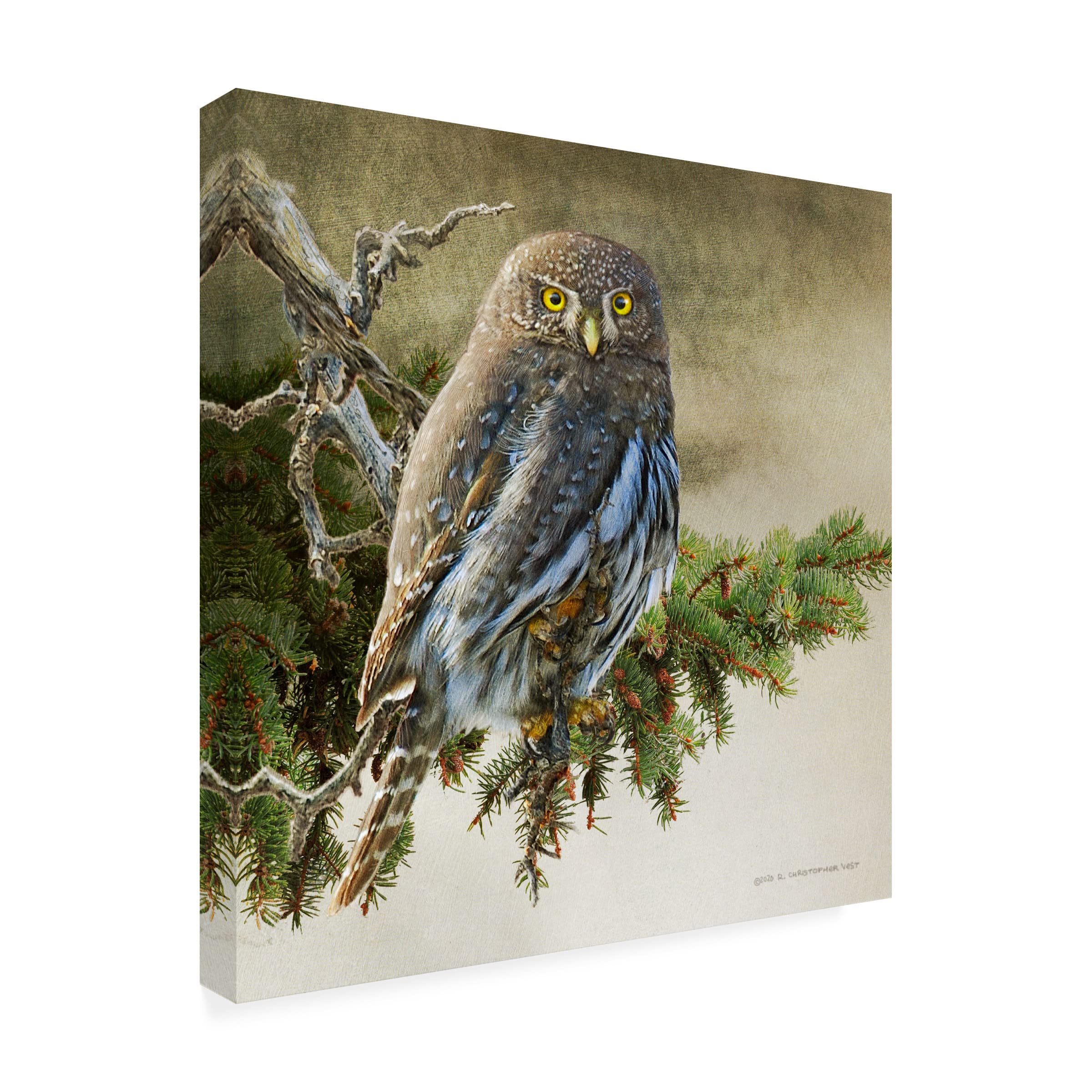 Chris Vest 'On the Branch VI' Canvas Wall Art Print - Modern Nature Landscape Painting for Living Room, Bedroom & Office Decor