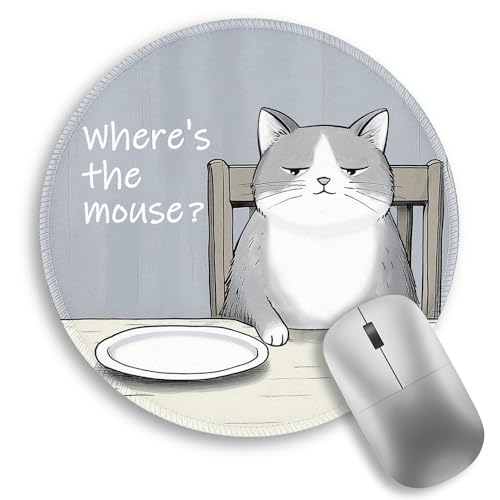 Funny Grey Cat