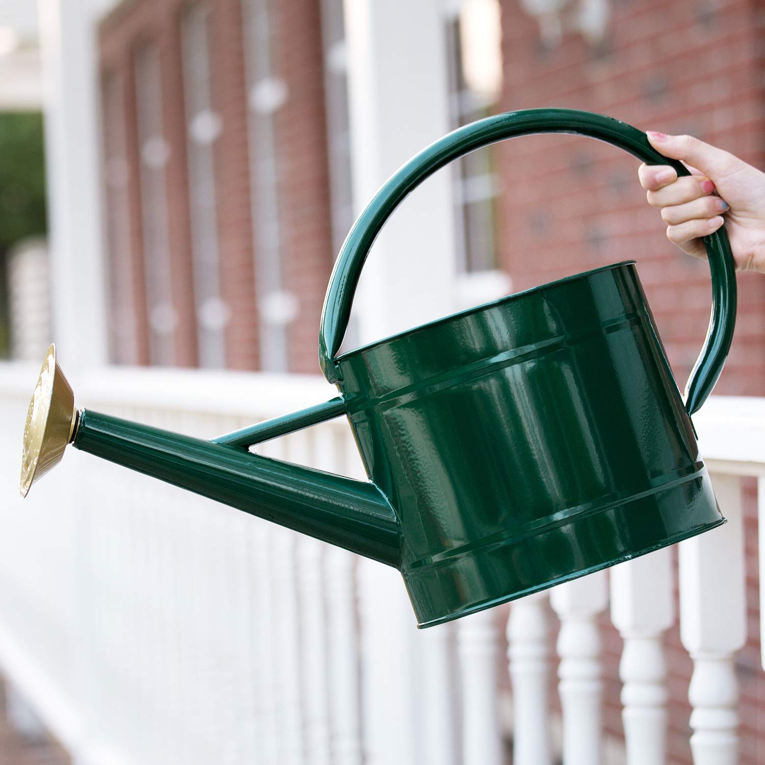 1.3 Gallon Galvanized Steel Watering Can - Farmhouse Style Decorative Watering Pot with Removable Rosette Diffuser - Ideal for Indoor Plants, Outdoor Gardens, and Home Decor (Green)