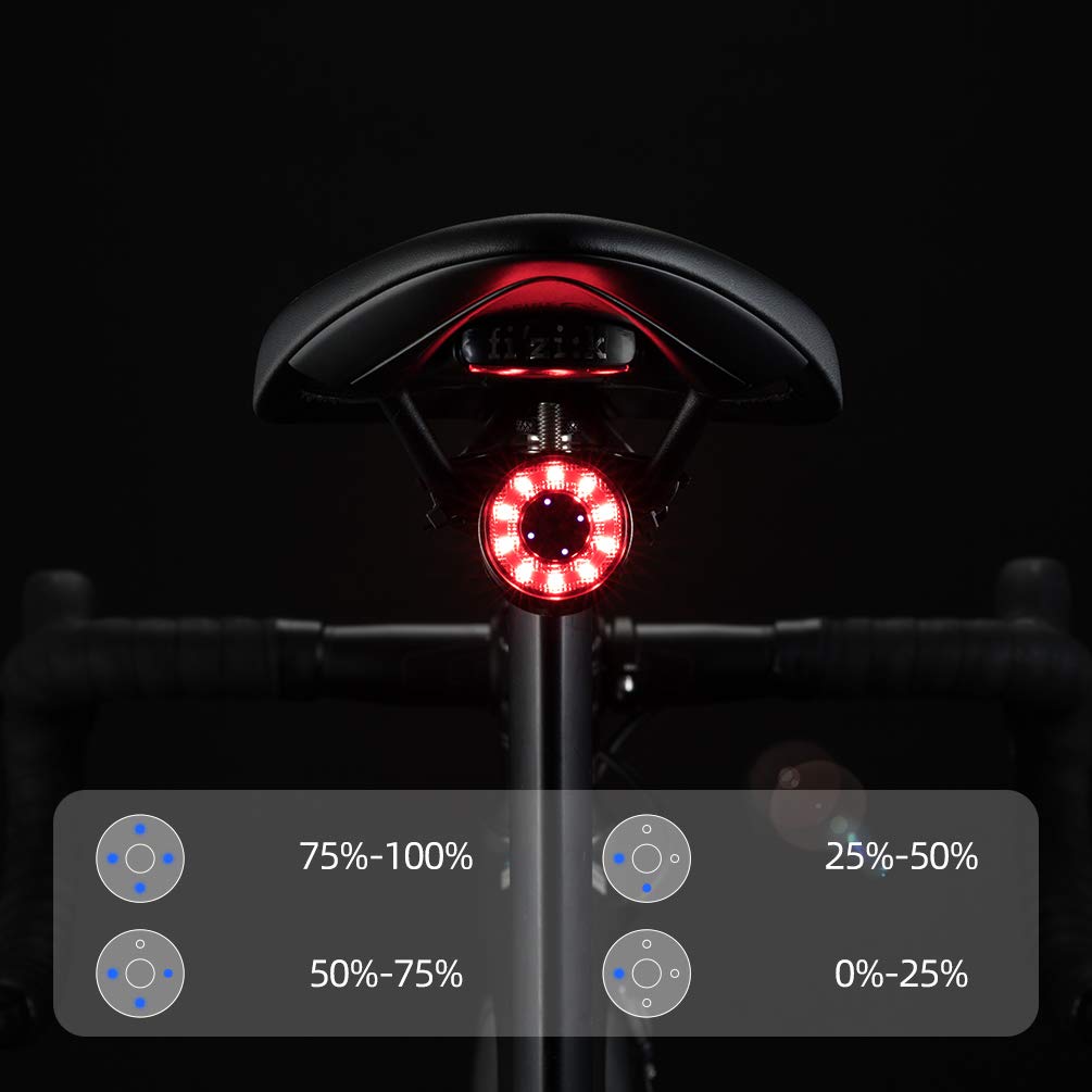 ROCKBROS Rechargeable Waterproof Bike Tail Light - High Visibility Rear Bicycle Light for Night Cycling, Commuting & Road Safety | USB Charging LED Bike Taillight for Mountain, Road & City Bikes