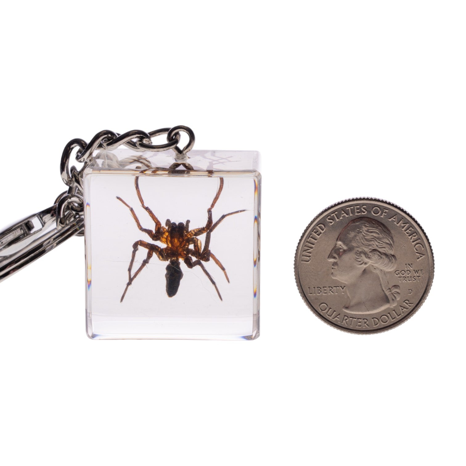 Real Spider Encased in Acrylic Cube Keychain - Unique Science & Nature Collector's Item - Perfect for Halloween Decor, Gifts for Entomology Lovers, and Gothic Fashion Accessories