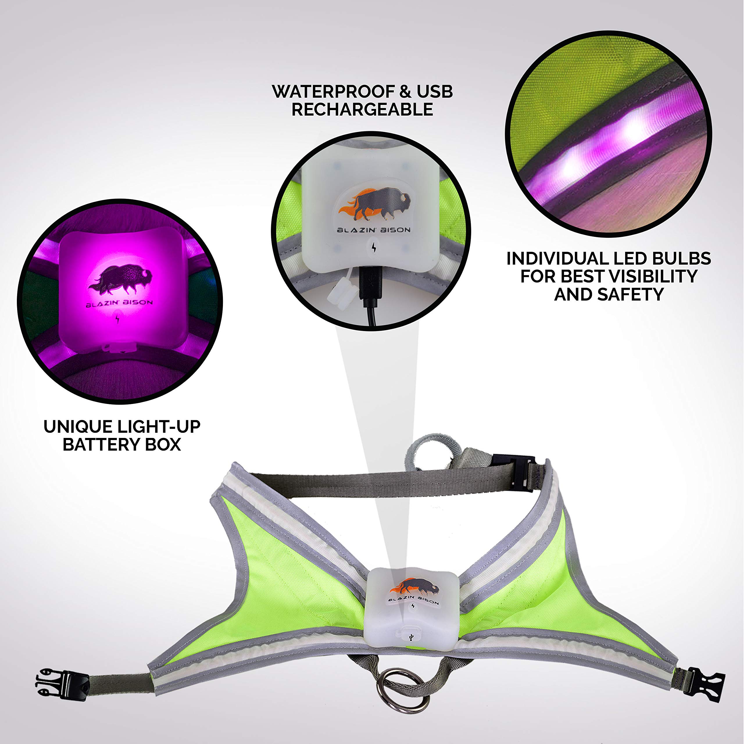 BLAZIN Safety LED Dog Harness - USB Rechargeable, Waterproof, Adjustable Pet Vest with 8 Color Lights & 6 Flashing Modes - Visible Up to 1000 Feet - Perfect for Night Walks, Jogging, and Outdoor Adventures (Small)
