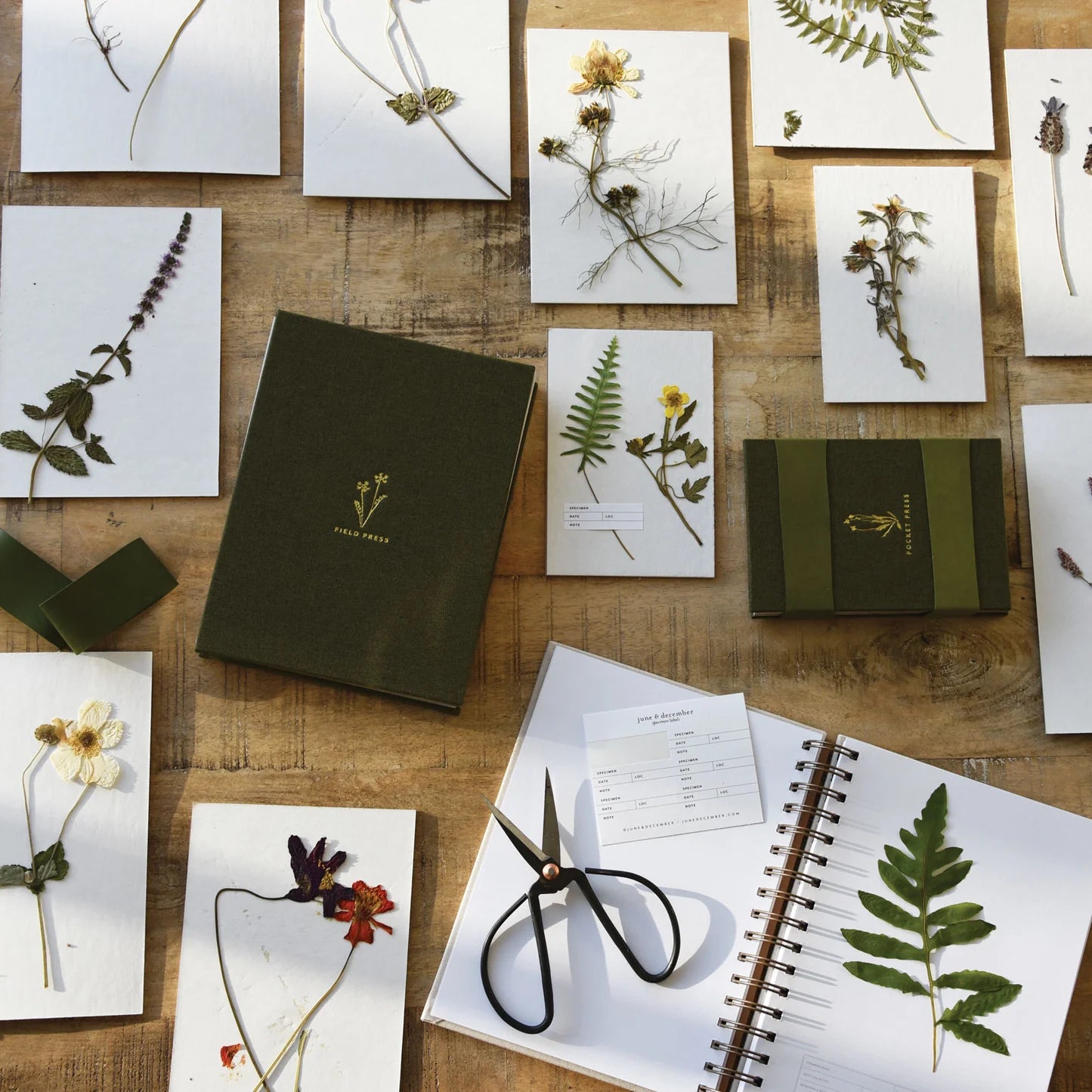 Portable Flower Press Kit for Drying & Preserving Flowers - Perfect for DIY Crafts, Scrapbooking & Nature Lovers