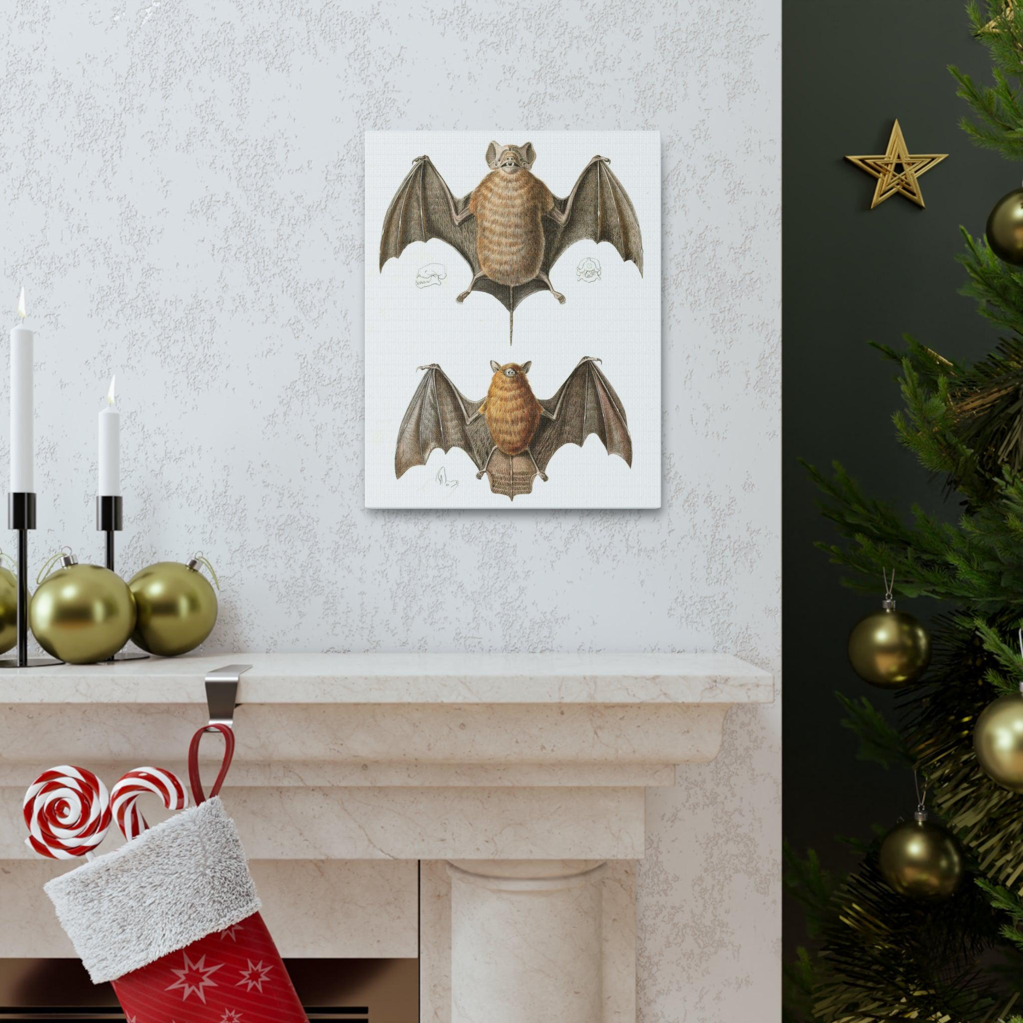 Free Tailed Bats Wall Art - Stunning Wildlife Illustration Canvas Print for Home & Office Decor - Perfect for Nature Lovers, Bat Enthusiasts, and Gothic Interior Design
