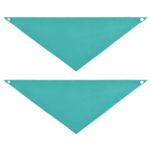 Turquoise Teal