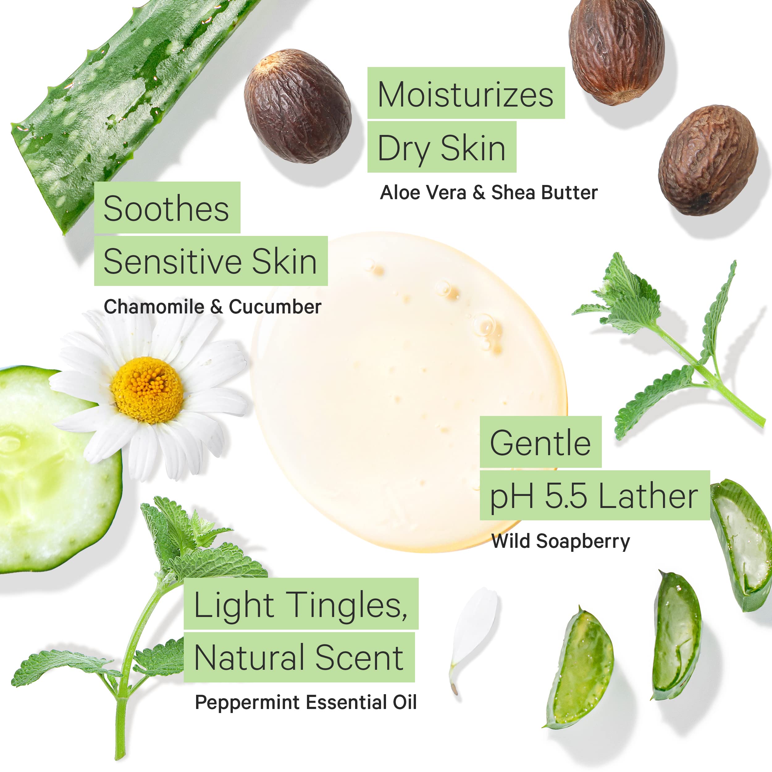 Tree to Tub Citrus & Peppermint Body Wash for Dry & Sensitive Skin - pH Balanced, Sulfate-Free, Vegan Moisturizing Body Wash with Organic Shea Butter for Women & Men - Perfect for Daily Hydration & Gentle Cleansing