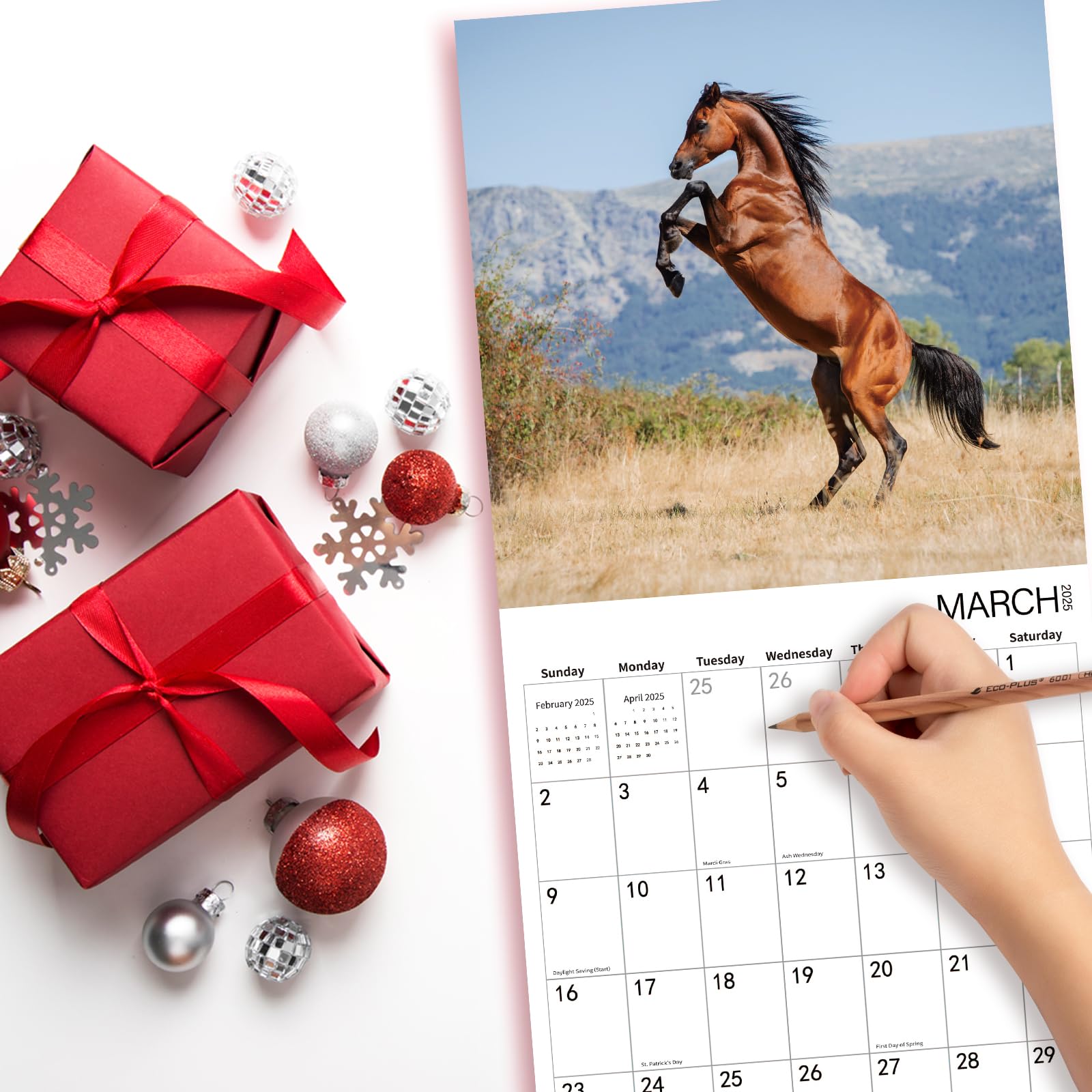 2025 Horse Cattle Monthly Wall Calendar - 12