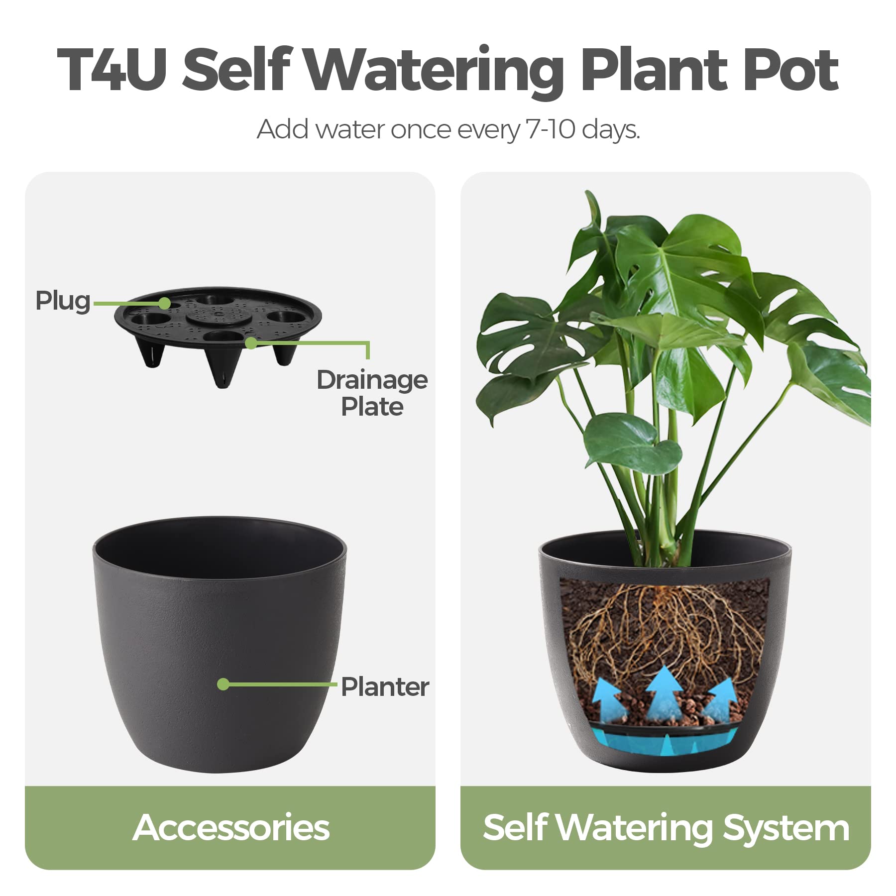 6 Inch Self Watering Planters - Set of 6 Modern Decorative Plastic Flower Pots for Indoor Plants, Herbs, Succulents & African Violets | Window Box Planter for Home, Office & Garden Decor (Black)