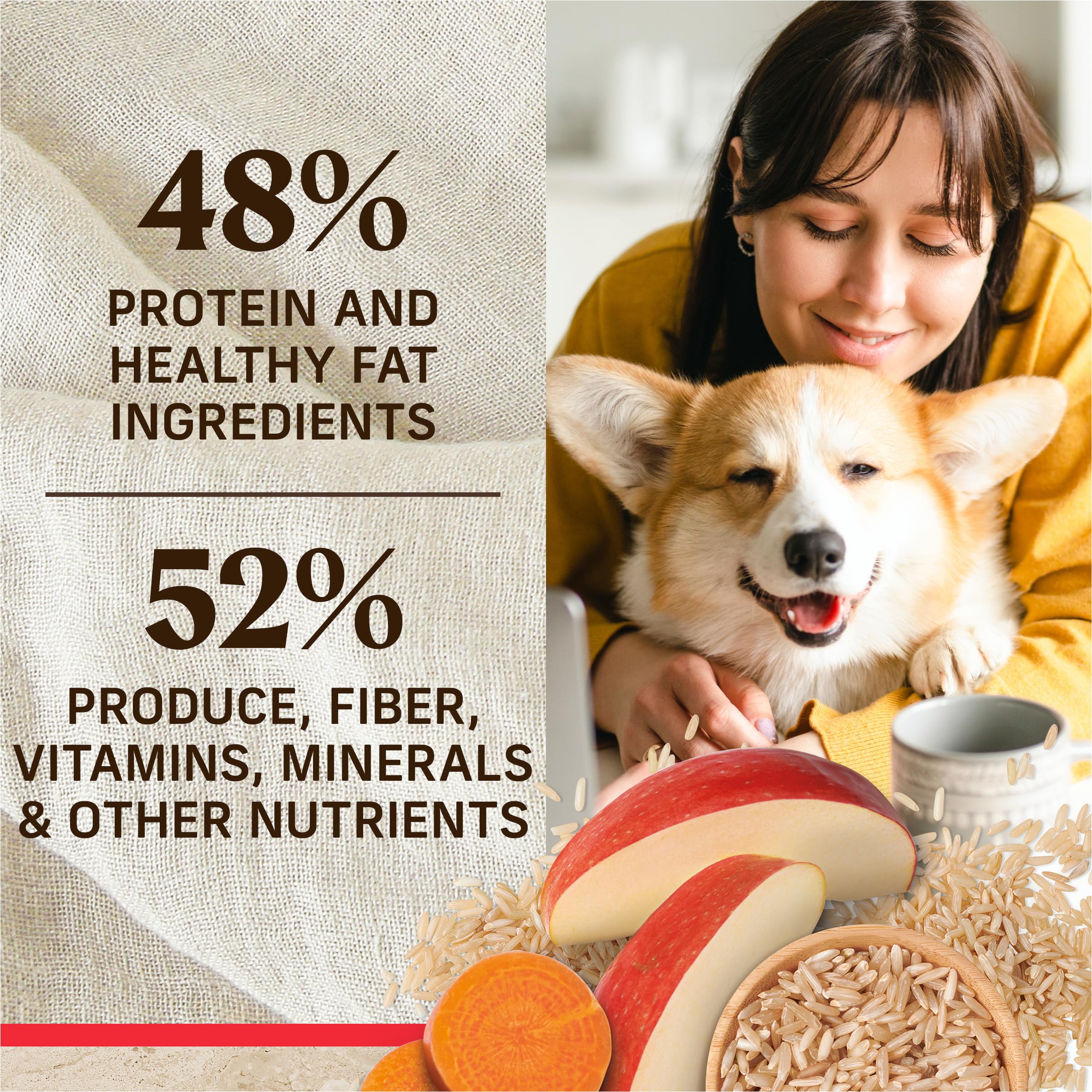 Merrick Healthy Grains Premium Adult Dry Dog Food - Natural Beef & Brown Rice Recipe - Wholesome Kibble for Large & Medium Dogs - 33 lb Bag - Perfect for Active Dogs & Daily Nutrition