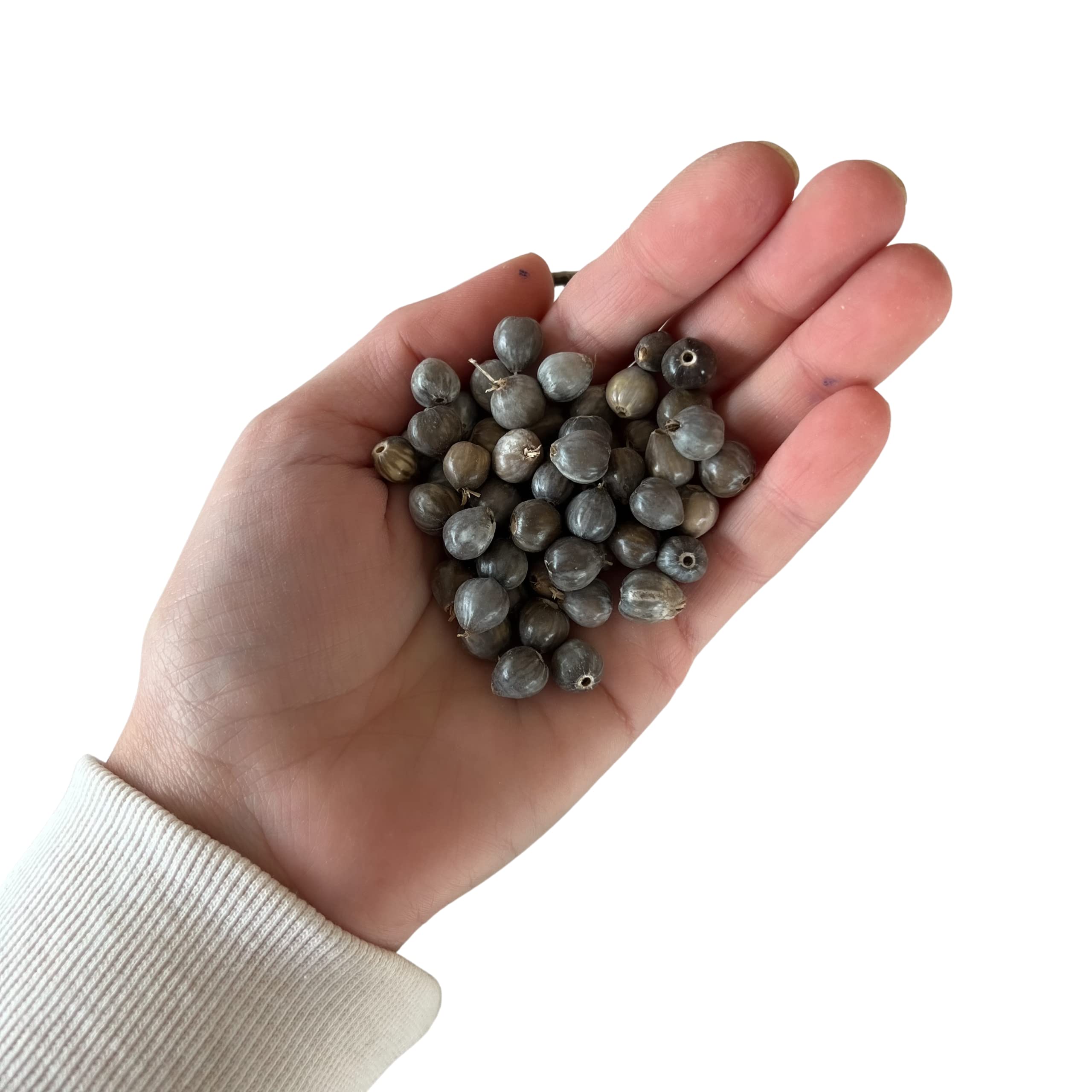 Job's Tears Seeds Beads for Rosary Making - 300 Natural Catholic Prayer Beads for DIY Jewelry & Religious Crafts | Perfect for Rosaries, Necklaces, Bracelets & Spiritual Gifts