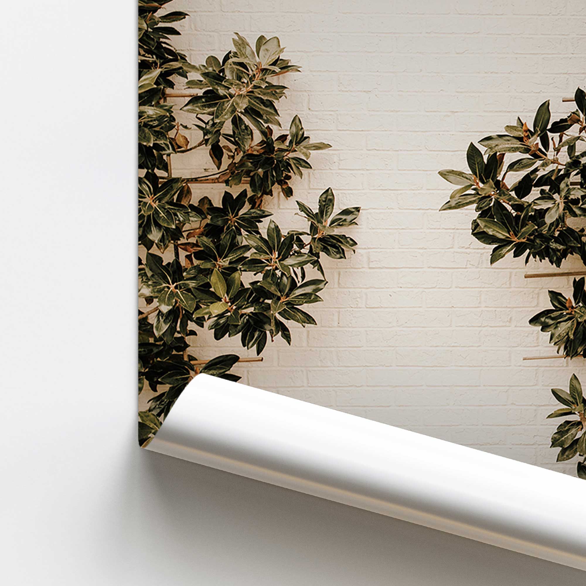 Eco-Friendly Custom Printed Rolled Banners - Perfect for Trade Shows, Events & Retail Promotions