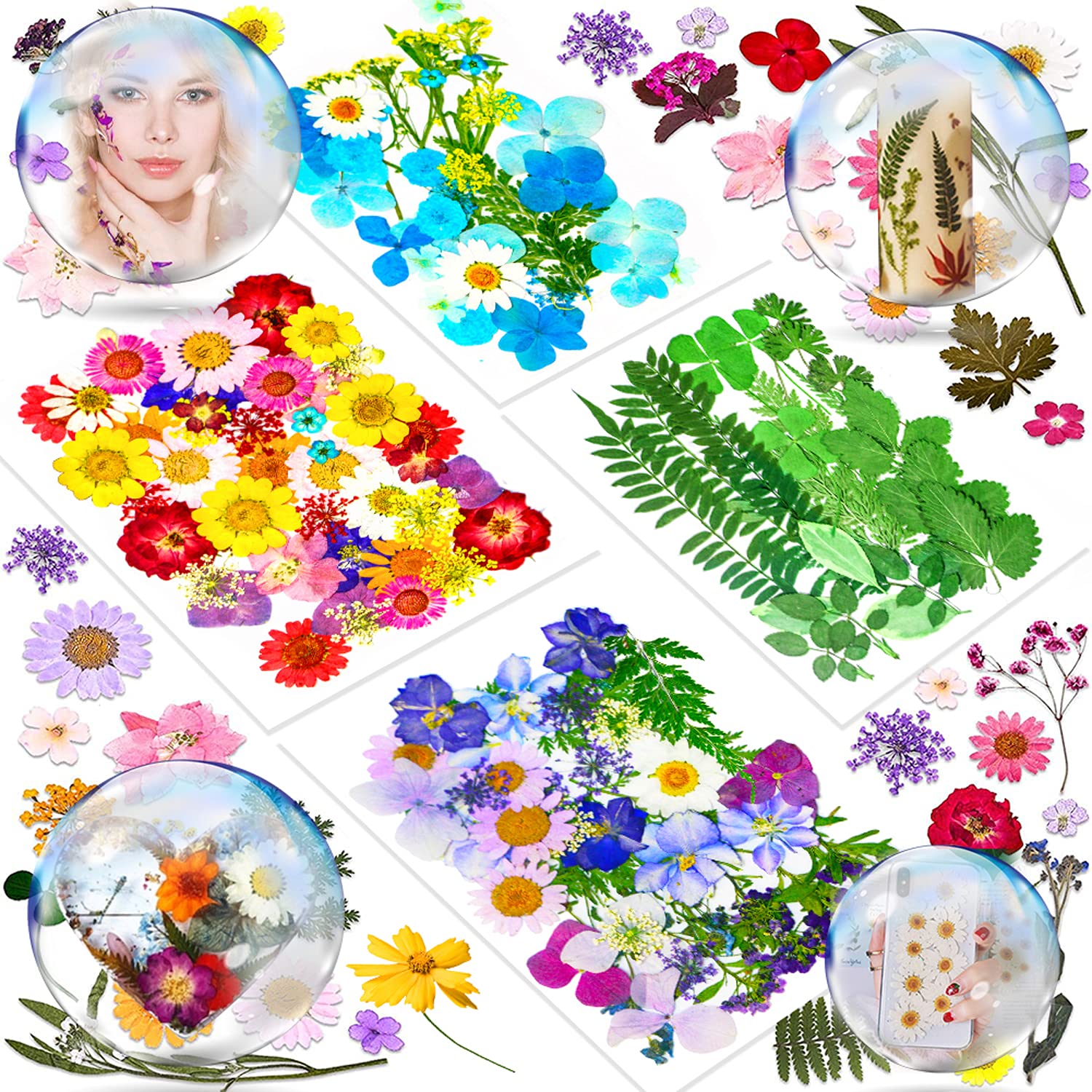 Premium Dried Flowers & Pressed Leaves for Scrapbooking, DIY Resin Jewelry, Soap Making, Nail Art & Home Decor - Natural Botanical Craft Supplies for Wedding Invitations, Greeting Cards & Gift Wrapping