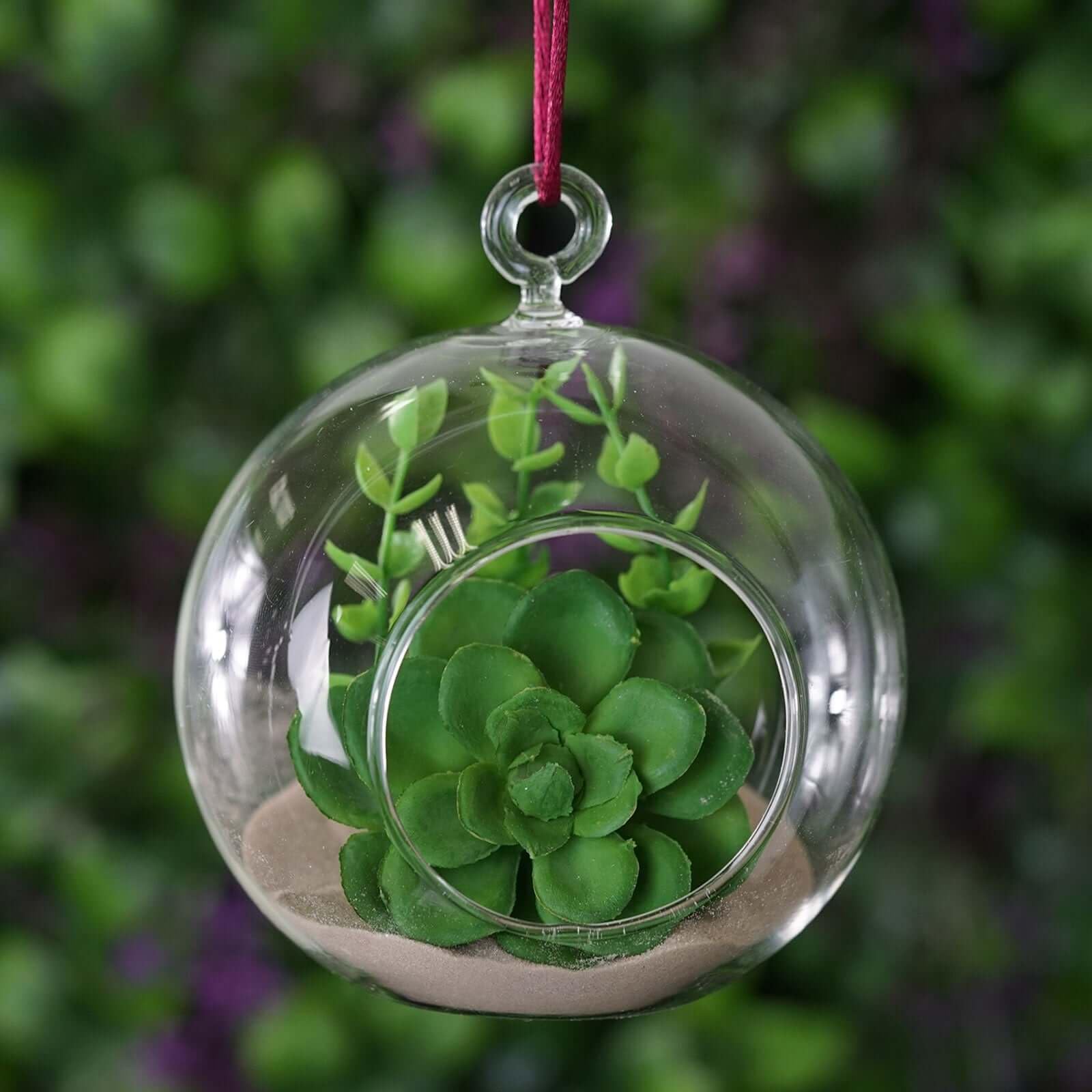 Efavormart 4-Piece Clear Glass Terrarium Set - Hanging Succulent Planters for Air Plants, Mini Cacti & Small Flowers | Perfect for Home Decor, Wedding Centerpieces & Office Desk Decorations