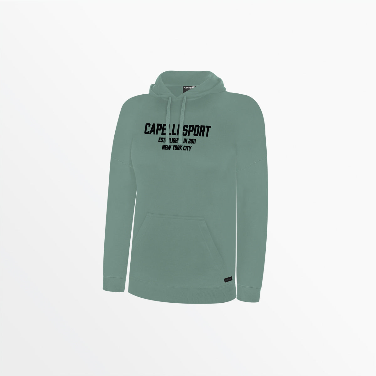 Women's CS Established Pullover Hoodie - Soft Fleece Sweatshirt for Casual Wear & Street Style | Perfect for Gym, Lounge & Everyday Comfort