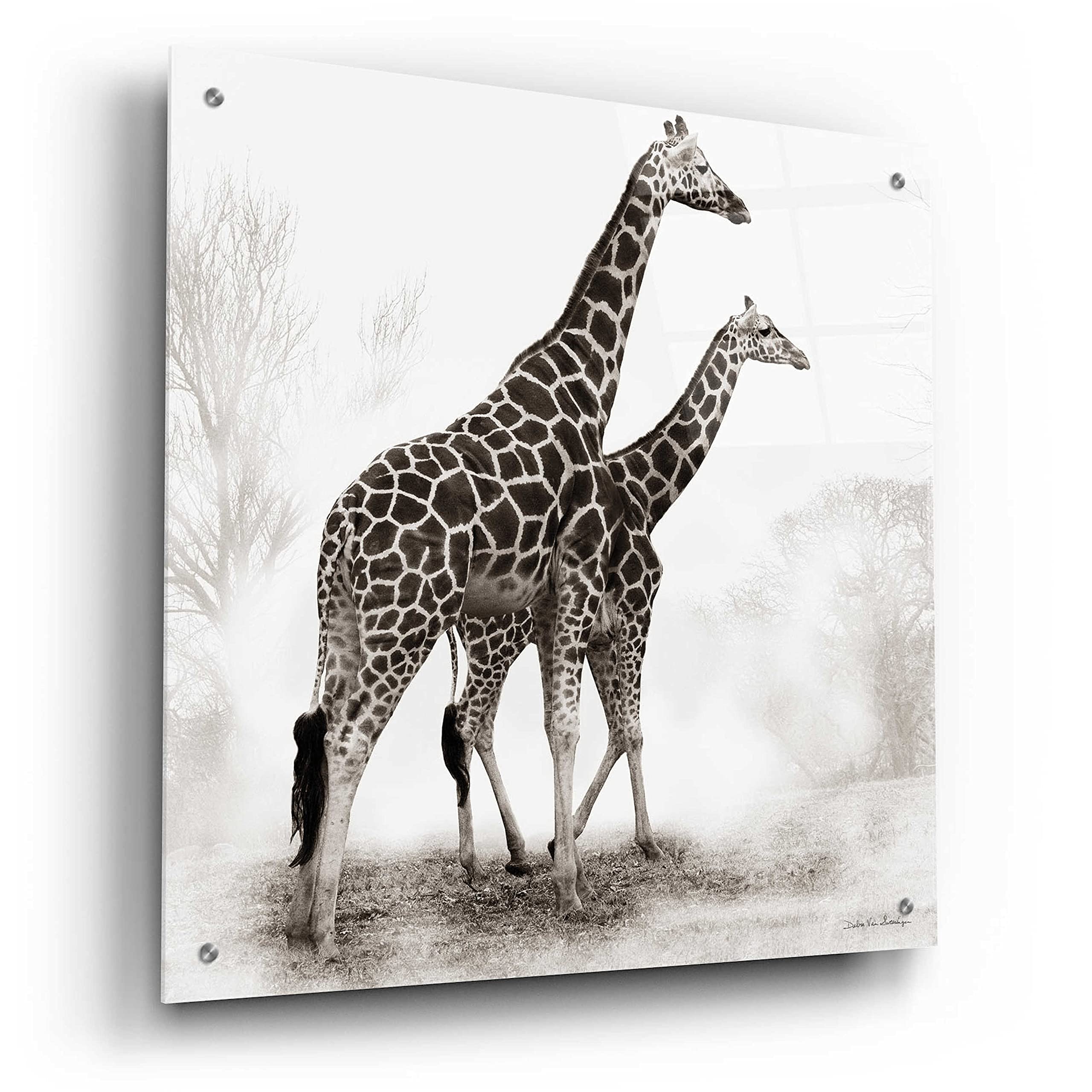 Debra Van Swearingen Giraffe III Acrylic Glass Wall Art - 24x24 Inch Modern Animal Painting for Living Room, Bedroom & Office Decor