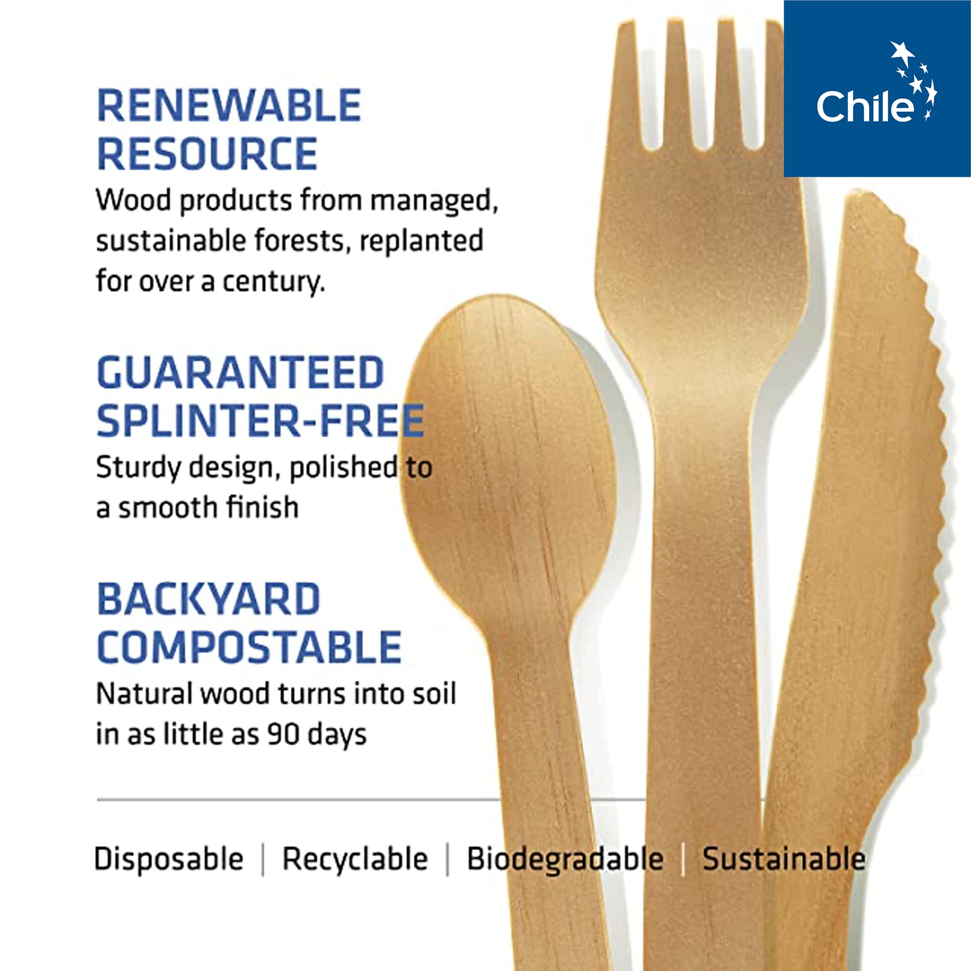 Eco-Friendly Disposable Wooden Cutlery Set - 100% Home Compostable Bamboo Spoons (100 Count, 6.5