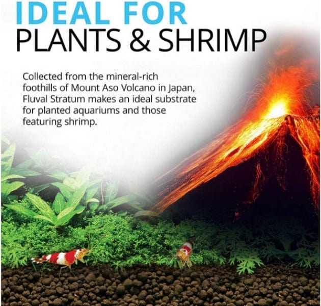 Fluval Plant & Shrimp Stratum - Premium Aquarium Substrate for Live Plants & Shrimp Tanks | Ideal for Freshwater Planted Aquariums & Shrimp Breeding