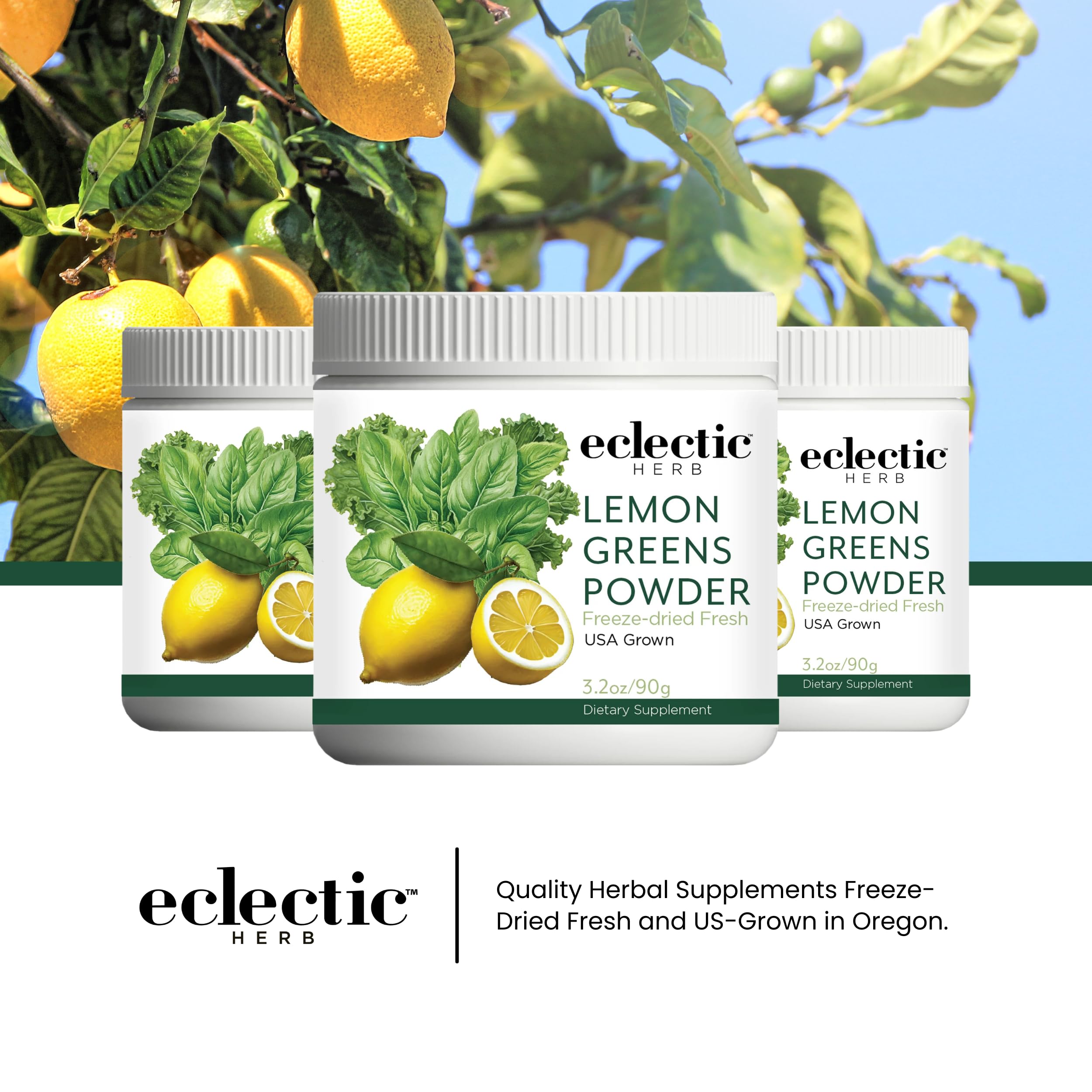 Organic Lemon Greens Powder by Eclectic Institute | 90g Superfood Blend for Detox & Immunity | Perfect for Smoothies, Juices & Wellness Shots